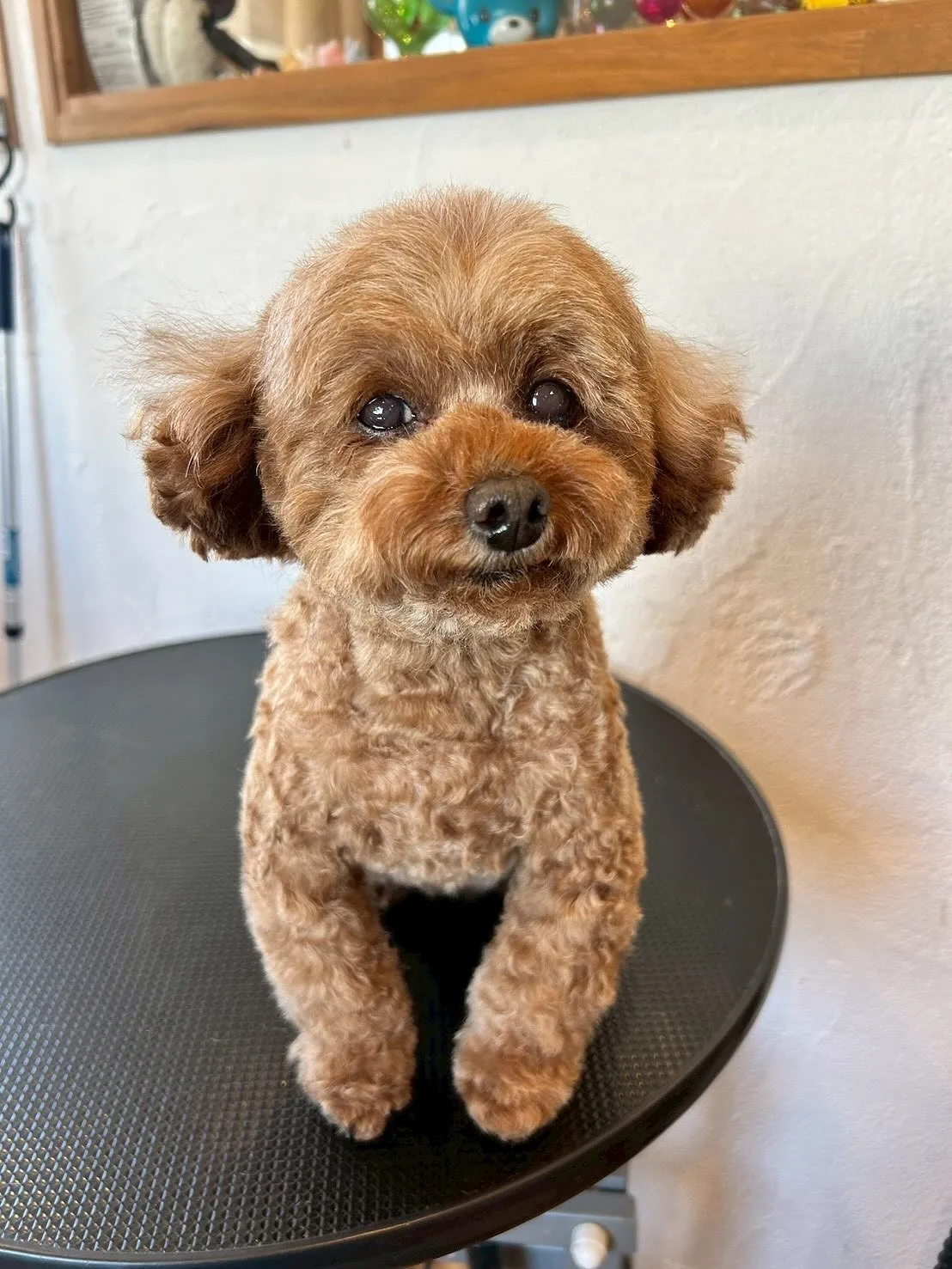 本日も可愛いショットをご紹介します！🌟