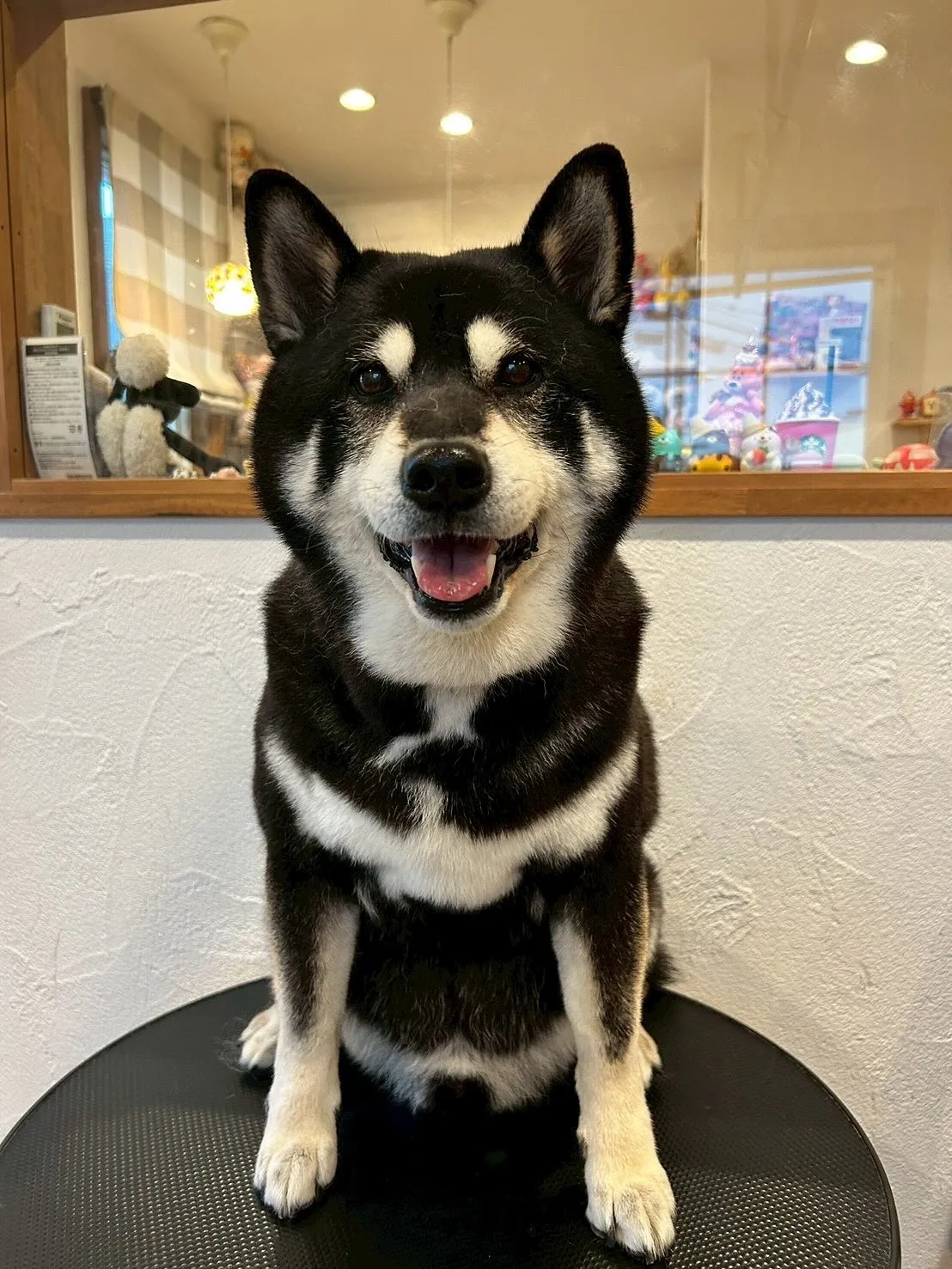 素敵なお客様の体験をご紹介します！🐾