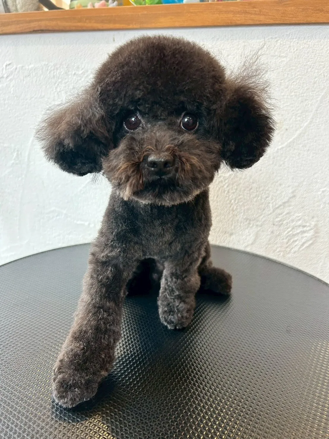 🌞朝は病院にダッシュで元気にスタート!