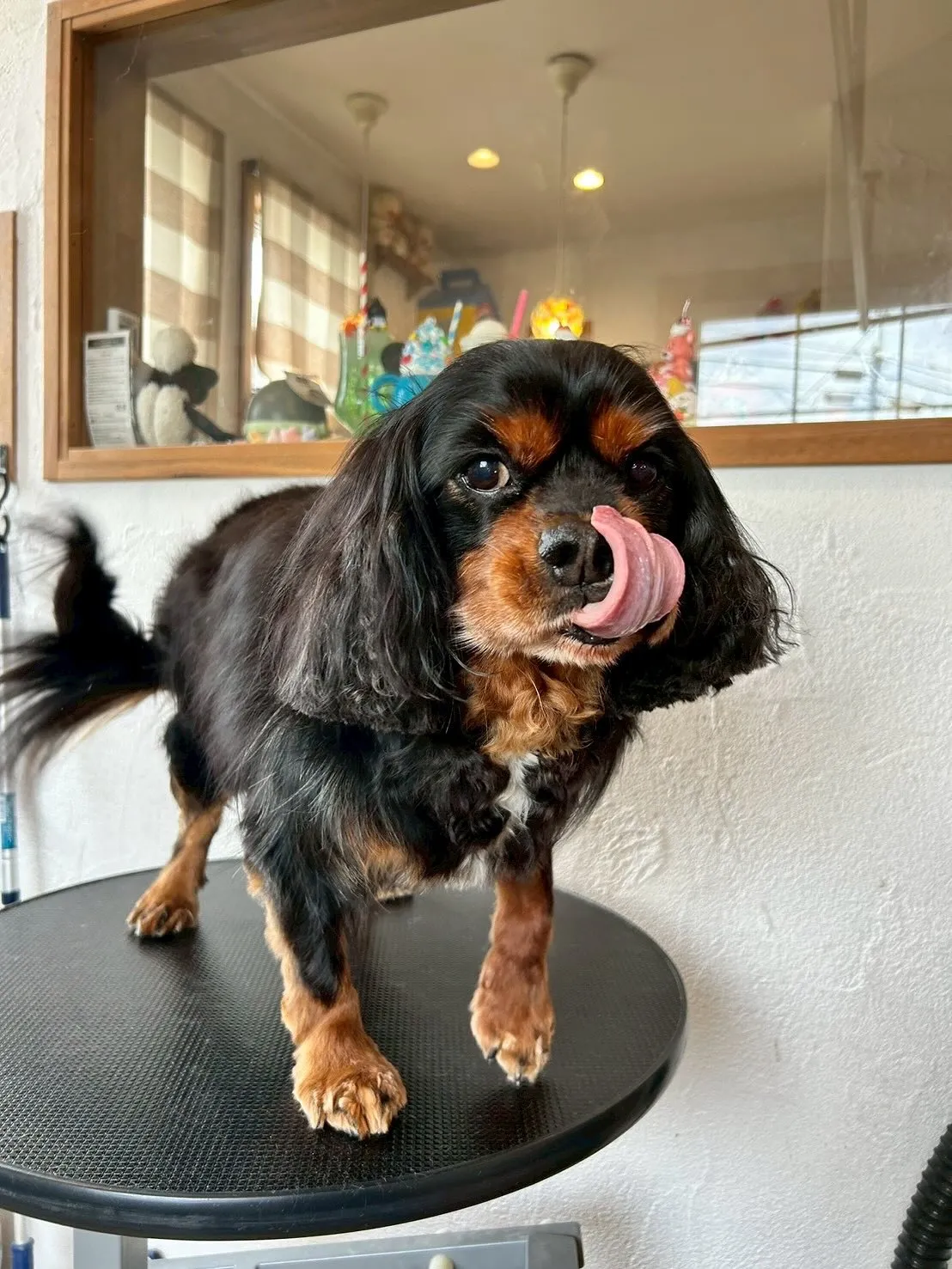 🌟 お友達をご紹介します!🌟