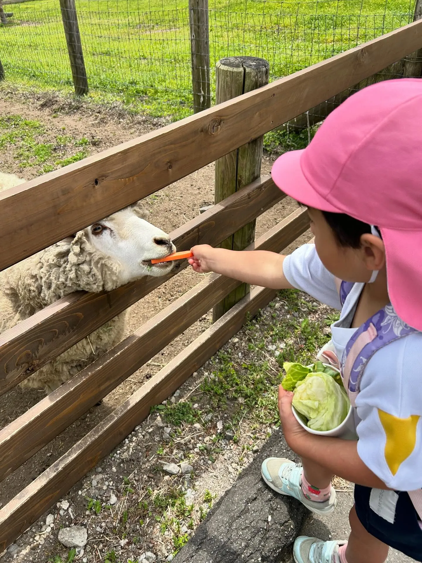 リンゴ病からなんとか復活✨
