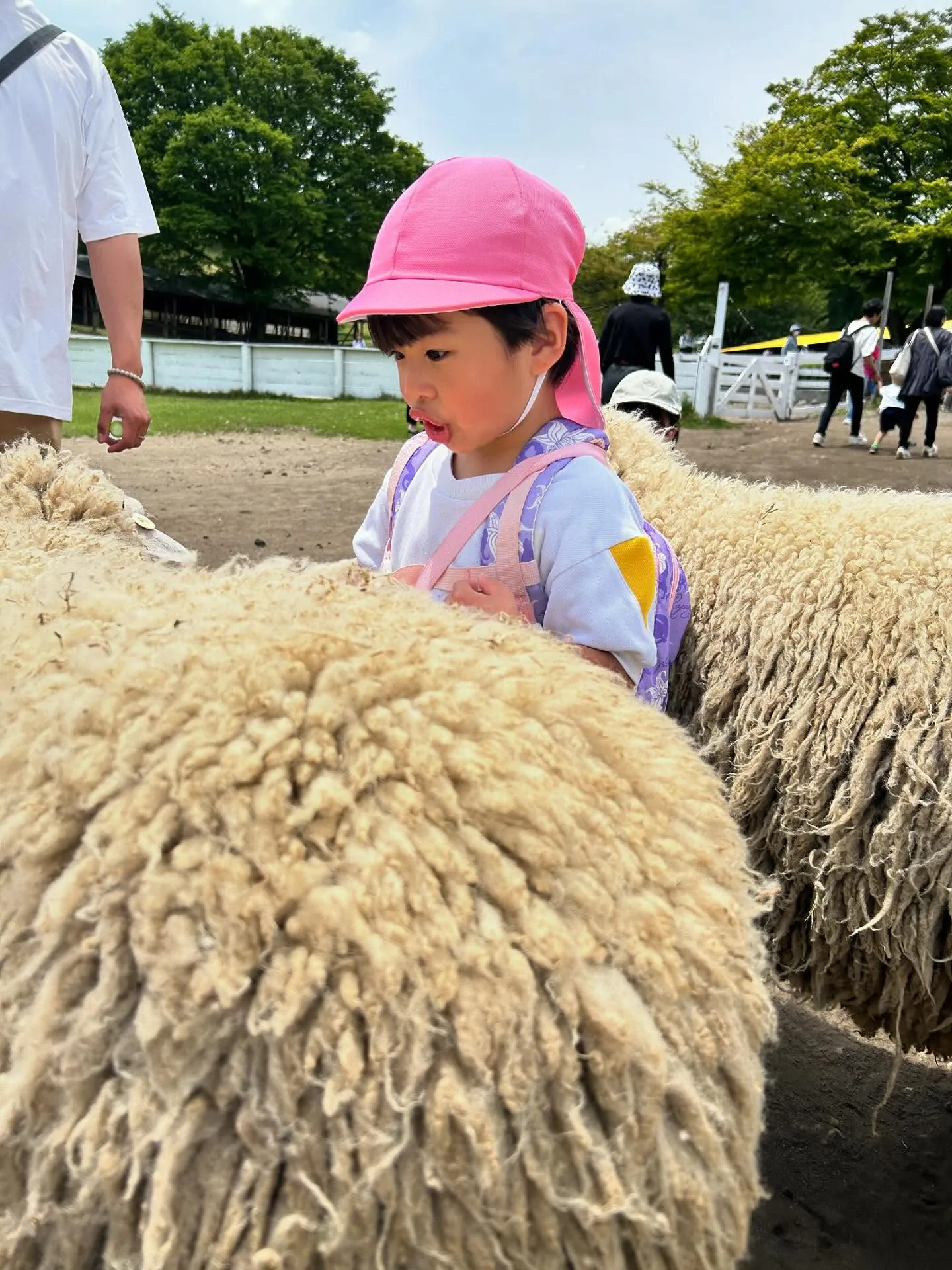 リンゴ病からなんとか復活✨