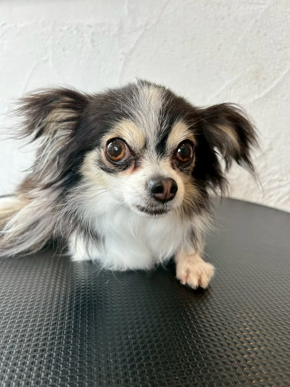 とってもキュートなお友達がいっぱい💖✨