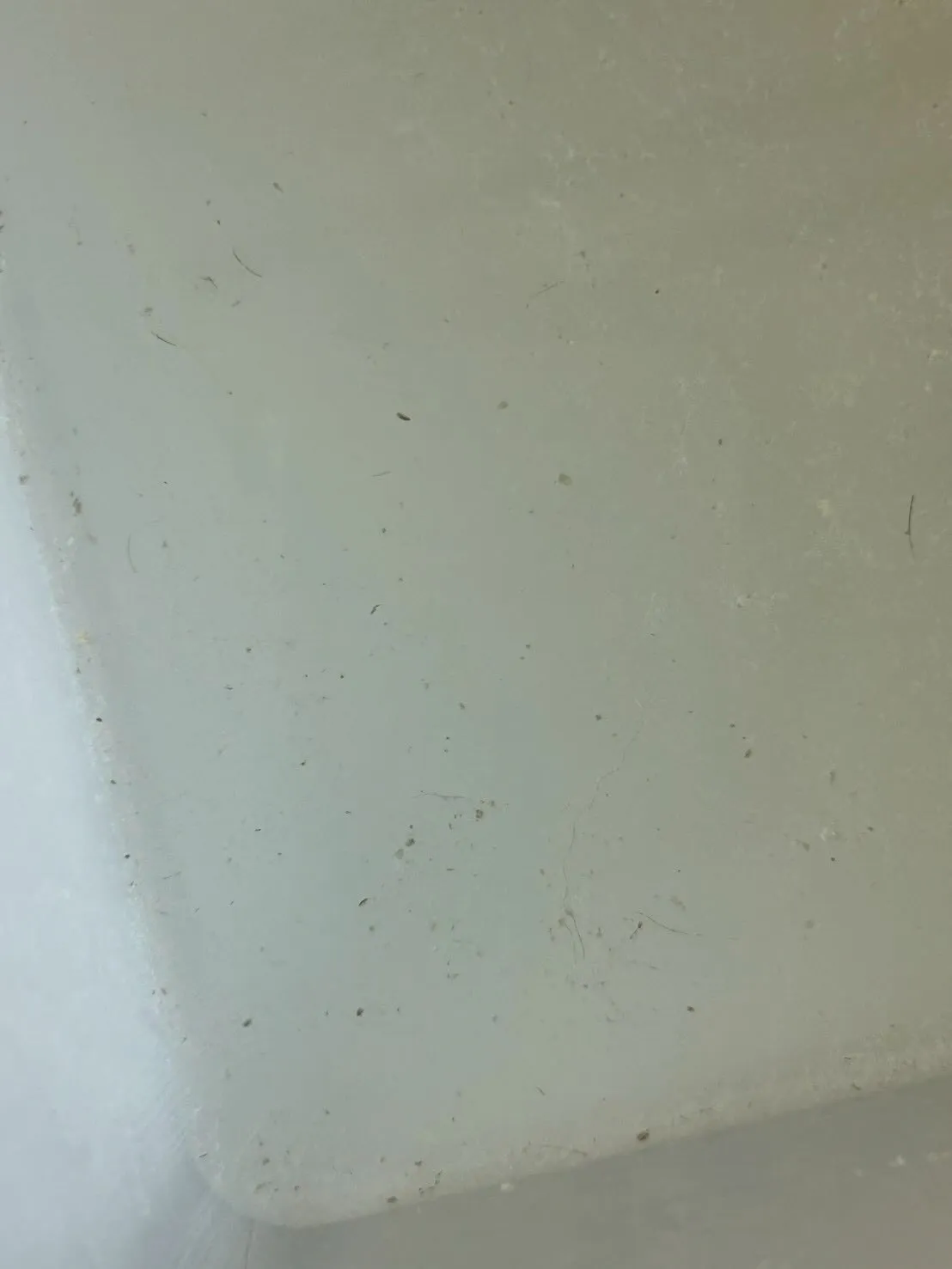 トリミングサロンに遊びに来たワンちゃんたちをご紹介！🐾✨