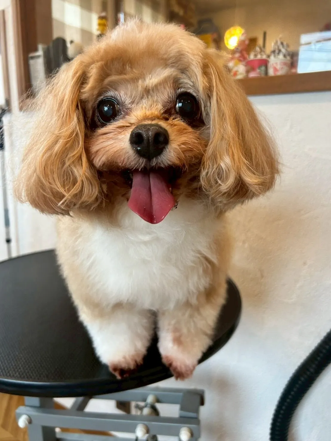 今日はMix祭り！🎉 