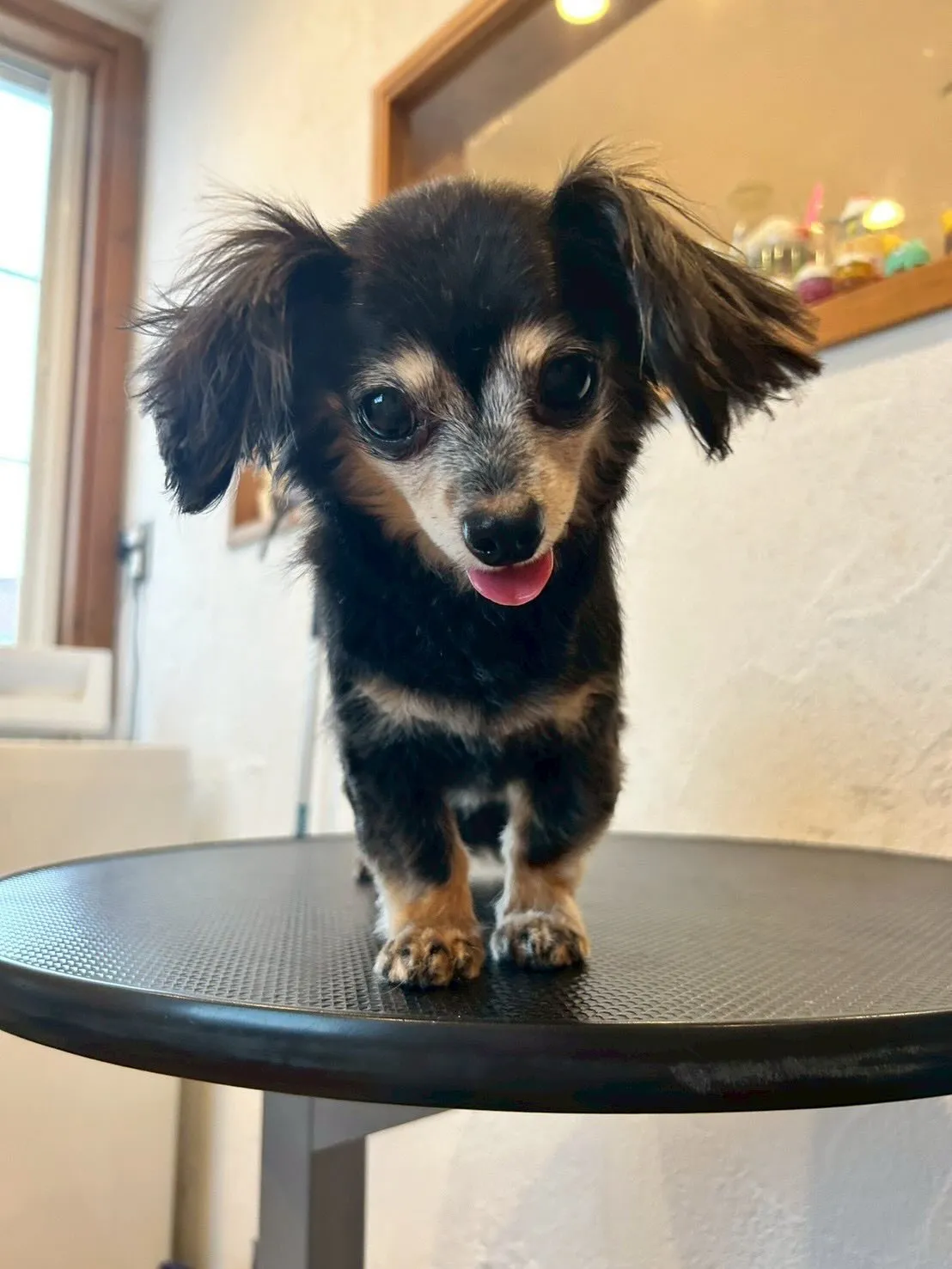 今日はMix祭り！🎉 