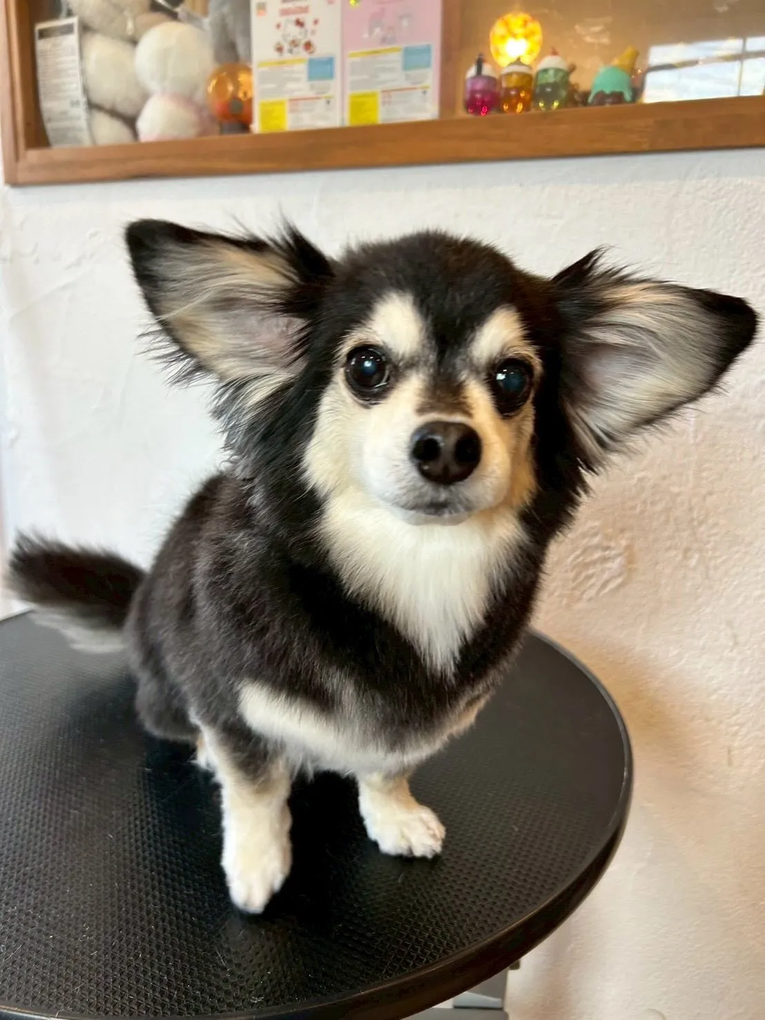 今日はMix祭り！🎉 