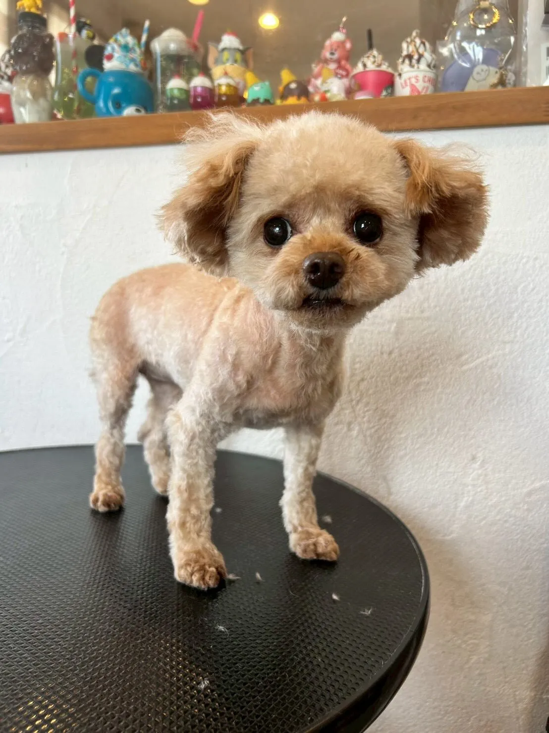 皆さん！こんにちはー✨🥰