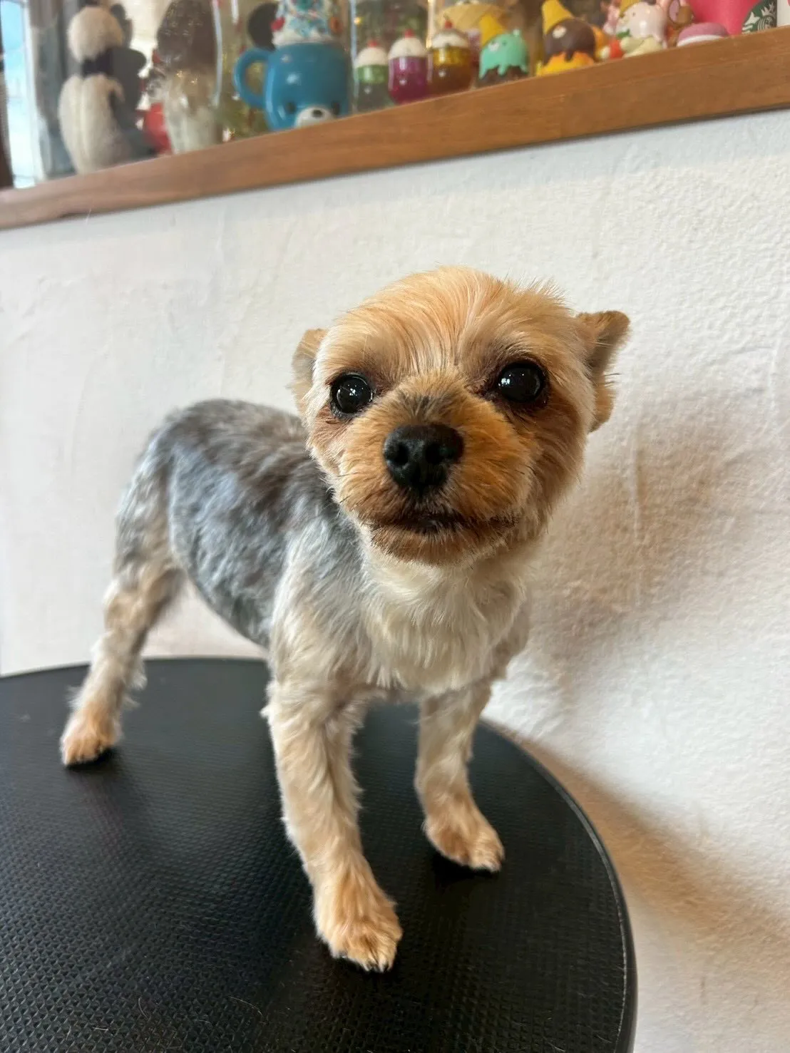 皆さん！こんにちはー✨🥰