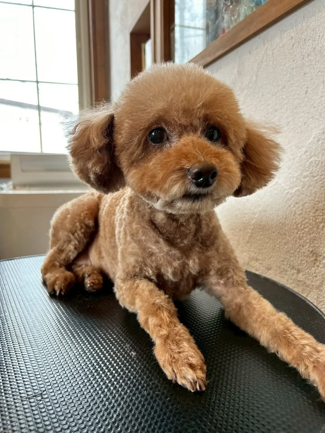 朝から柚月の体操教室の発表会の練習に行ってきたよ🚴✨