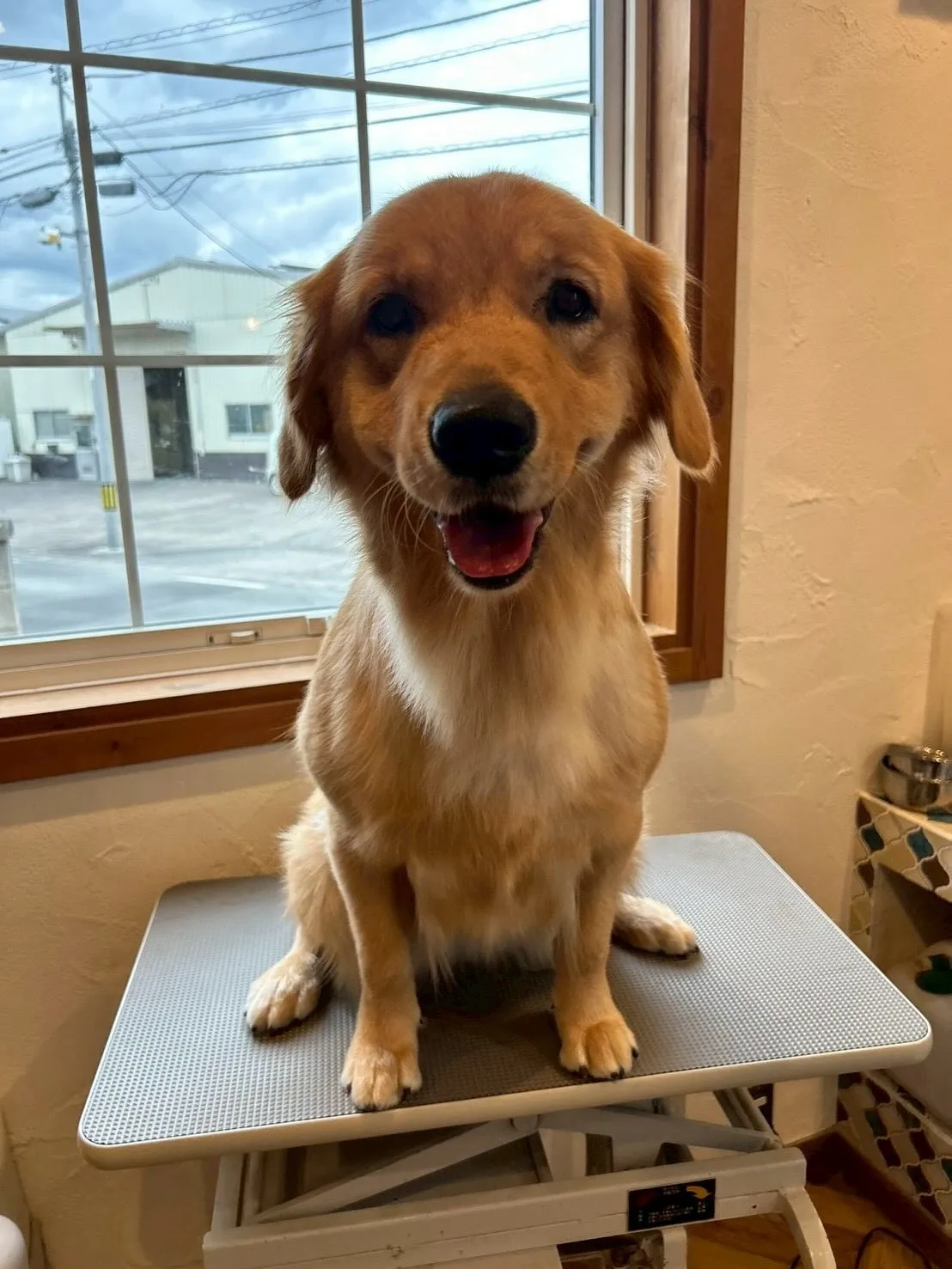 朝から柚月の体操教室の発表会の練習に行ってきたよ🚴✨