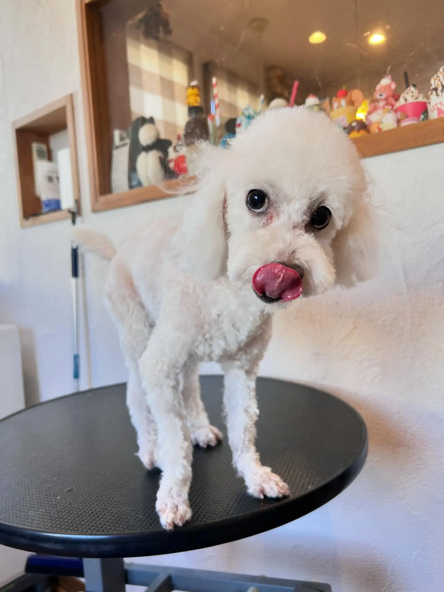 ペロリ😋かわいっ