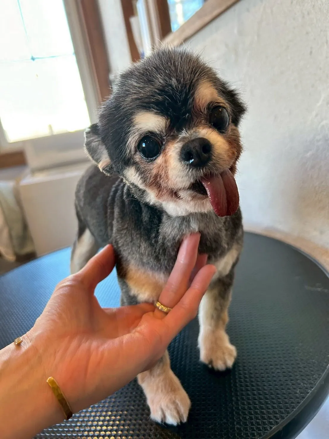 こんにちは!🐾