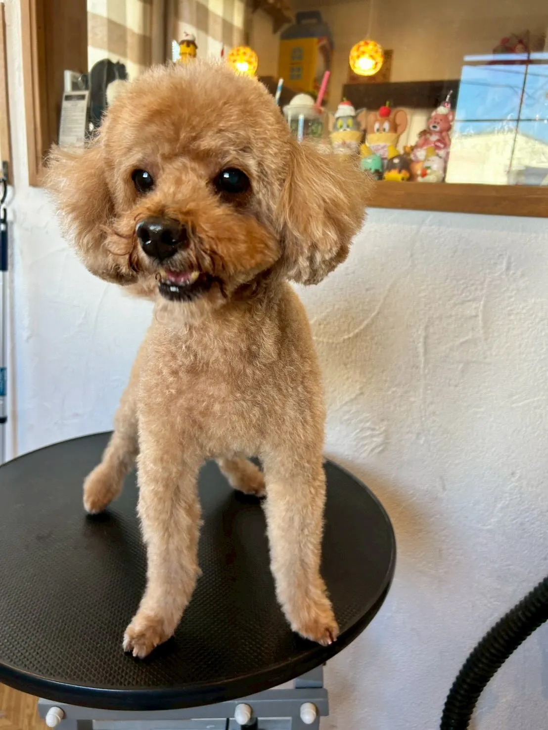 🌟 素敵なお客様たちをご紹介します✨