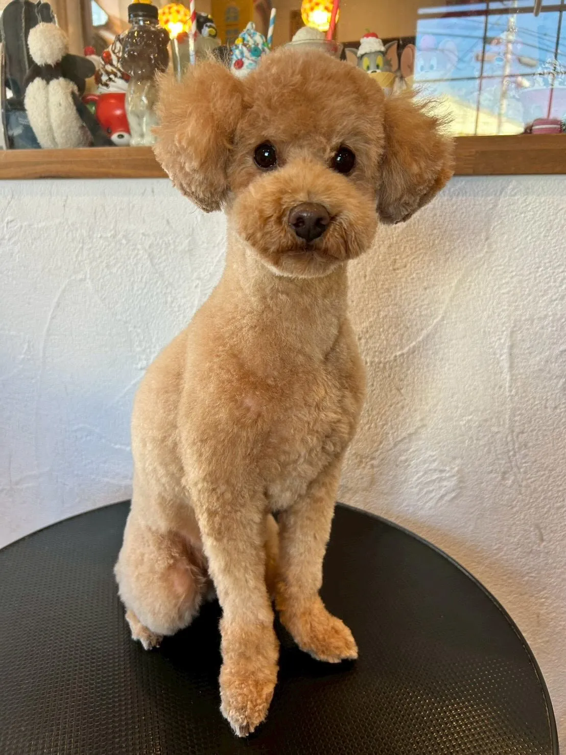 🌟 素敵なお客様たちをご紹介します✨