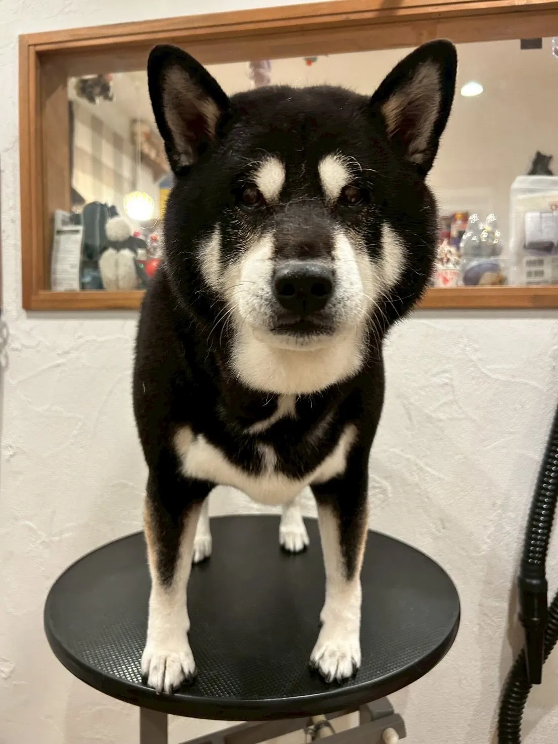 🌟 素敵なお客様たちをご紹介します✨