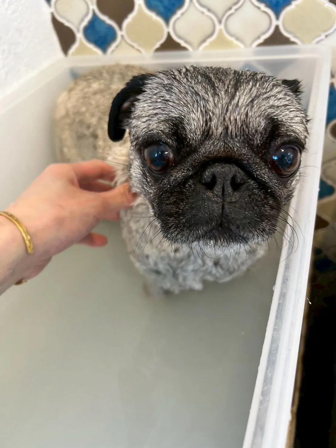 🌟✨可愛いお客様たちをご紹介しますよ〜🎉