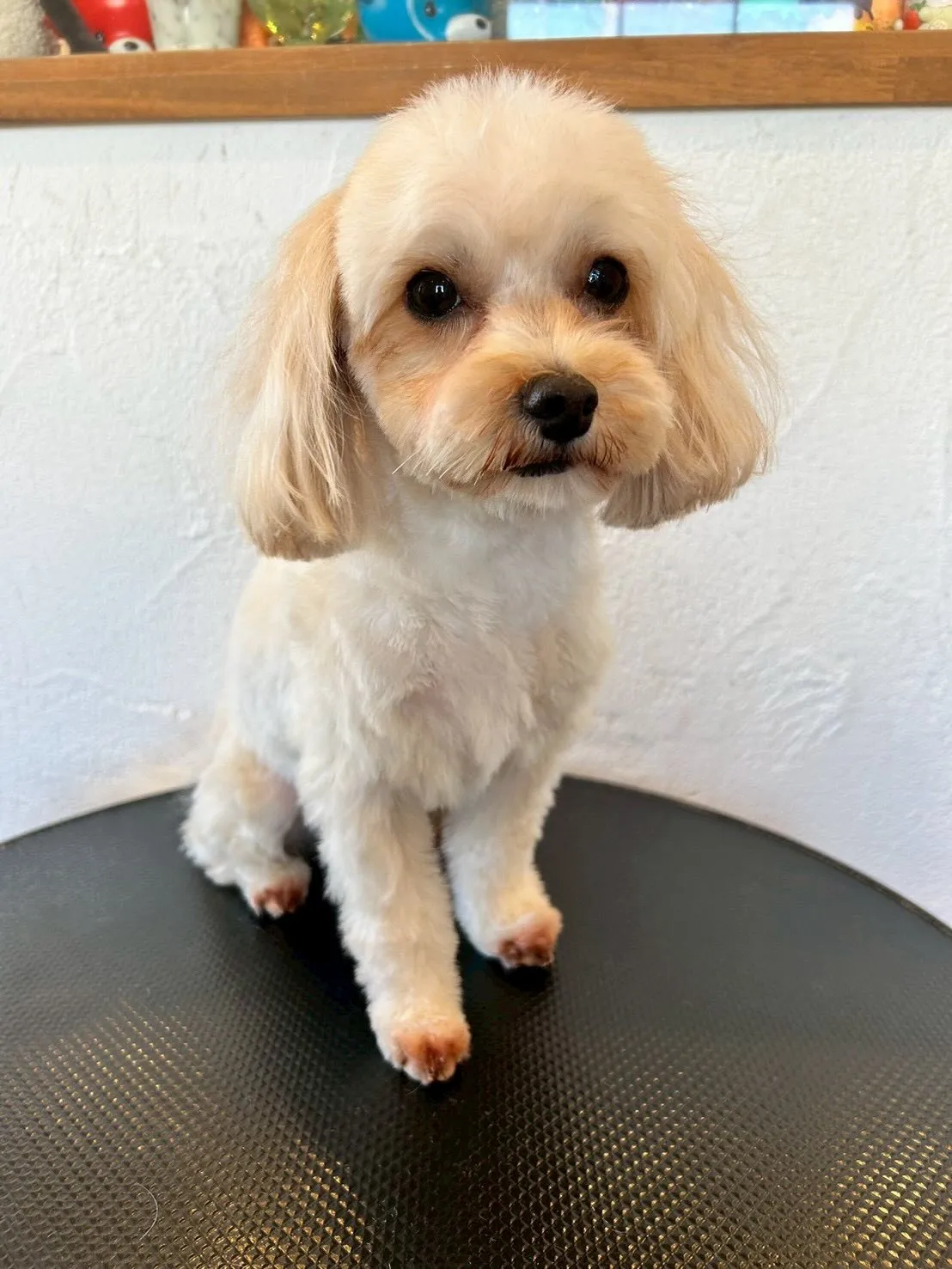 日常の中で小さな変化って嬉しいですよね✨