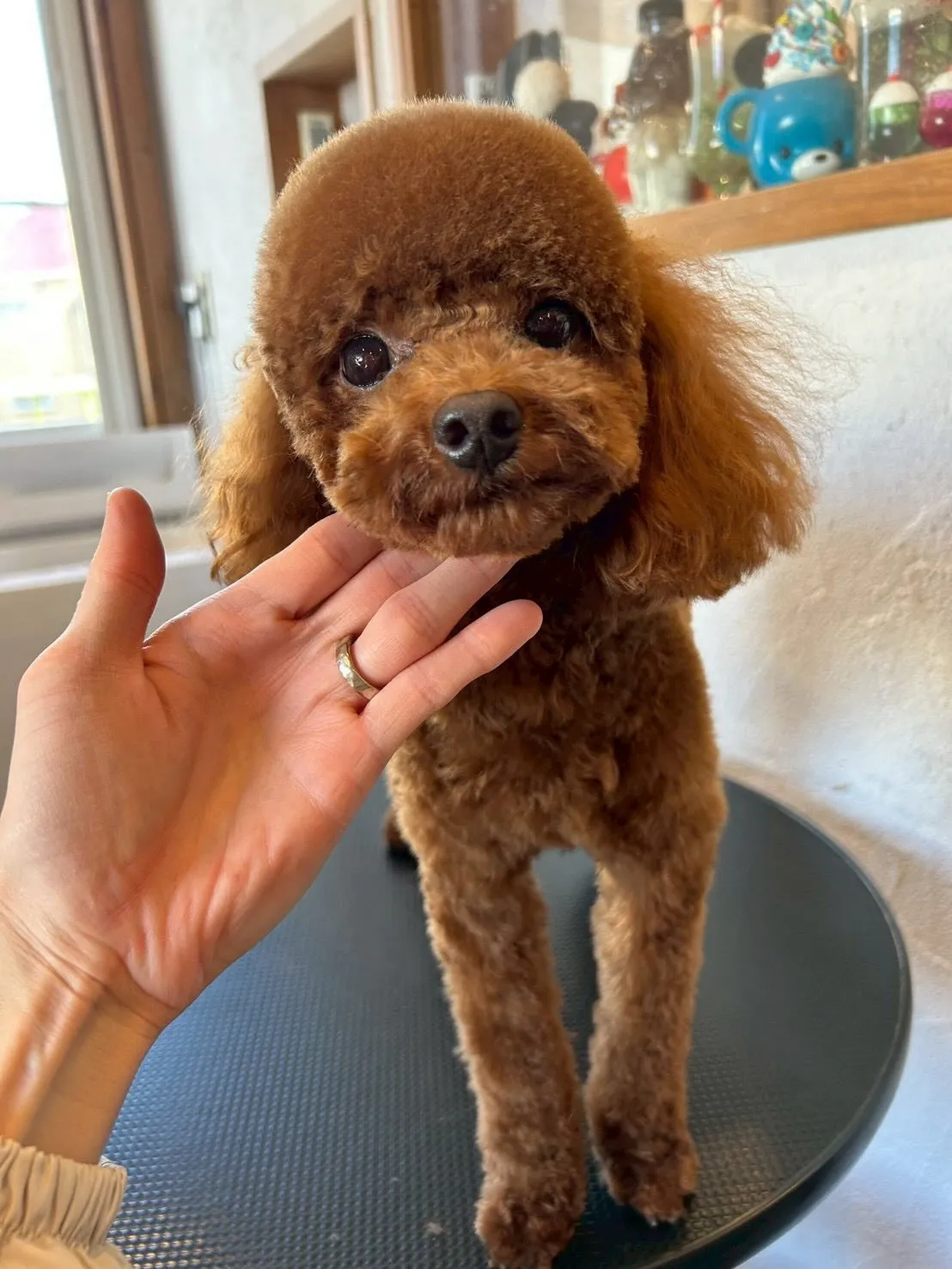 日常の中で小さな変化って嬉しいですよね✨