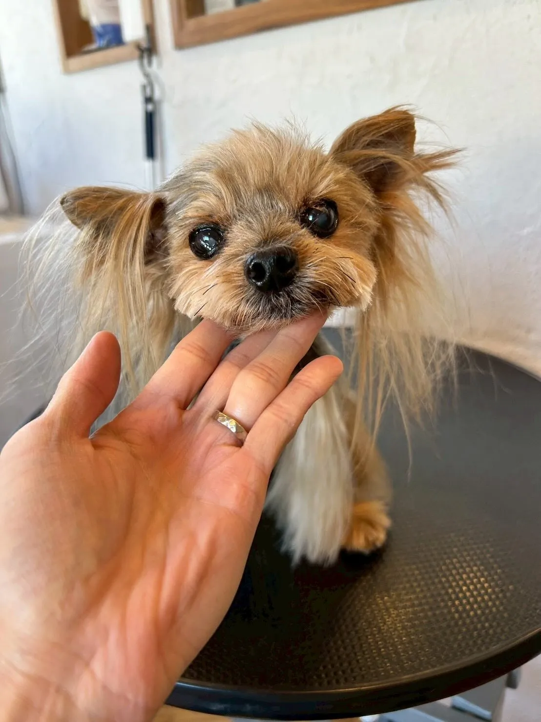 日常の中で小さな変化って嬉しいですよね✨