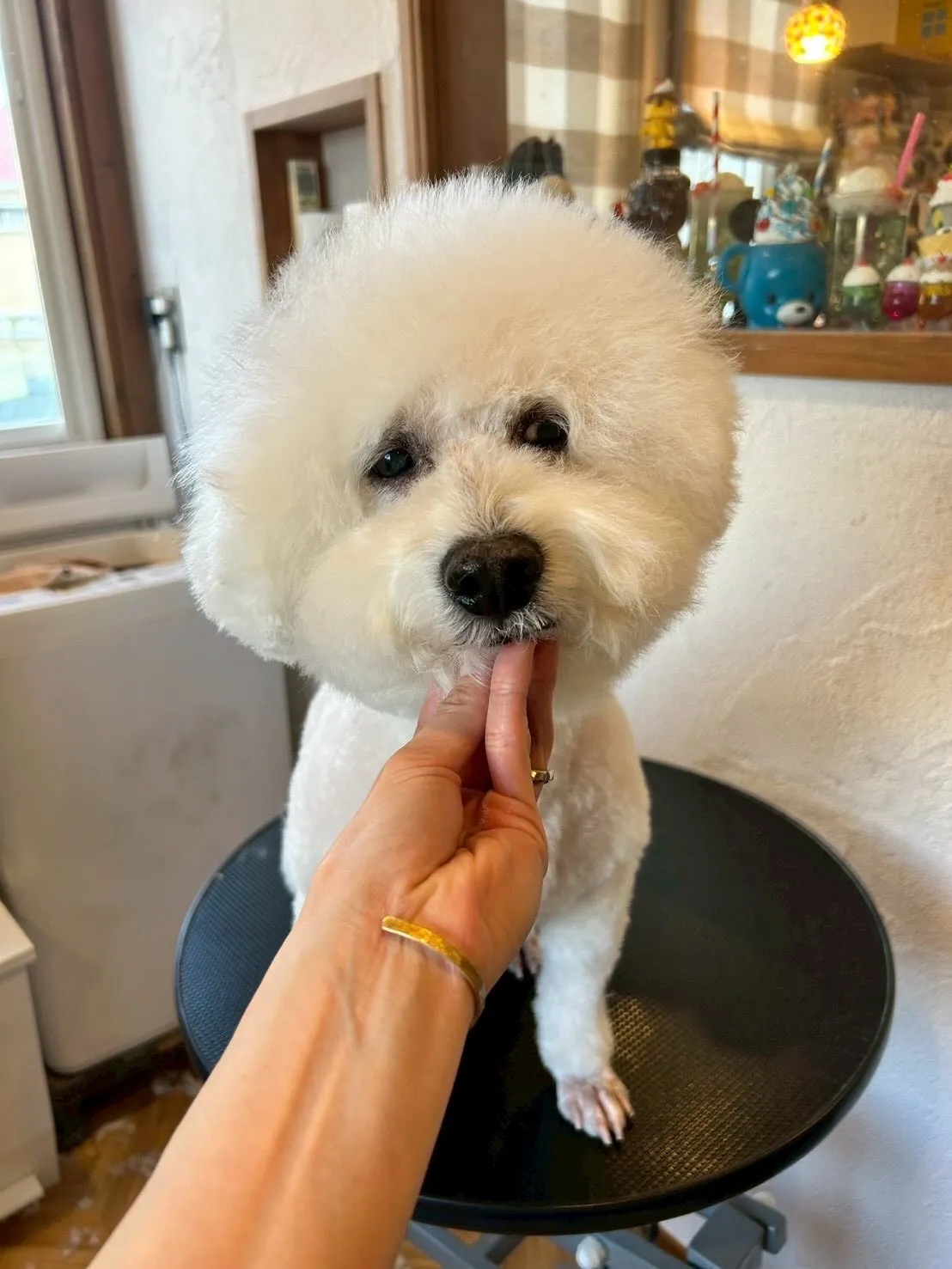 日常の中で小さな変化って嬉しいですよね✨