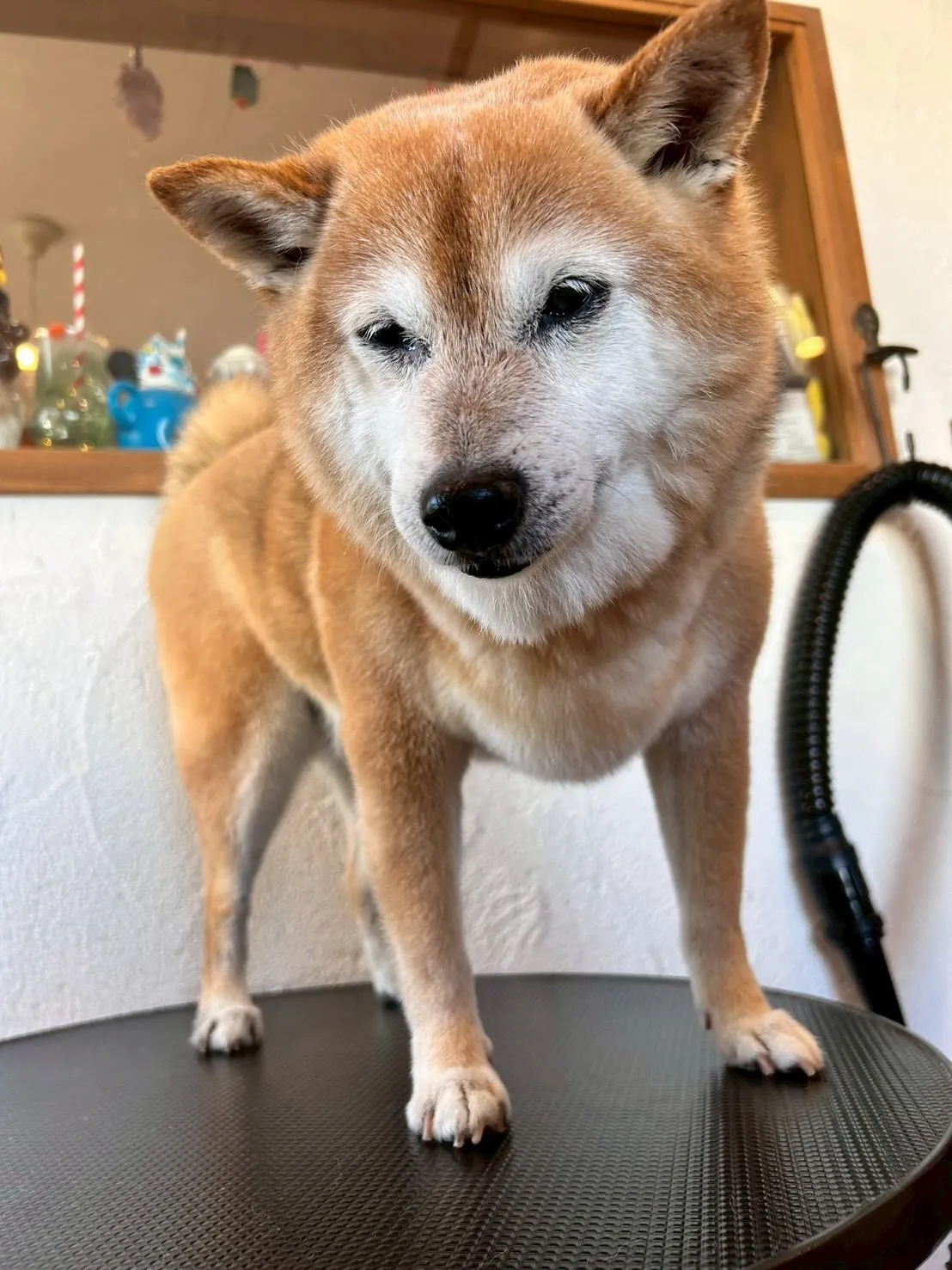 冬休み突入!❄️✨