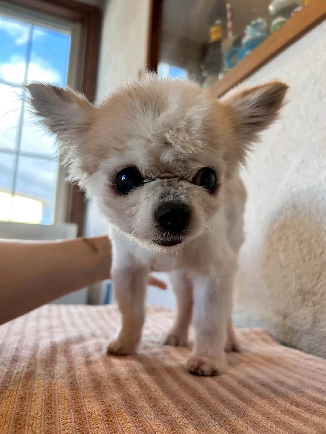 冬休み突入!❄️✨