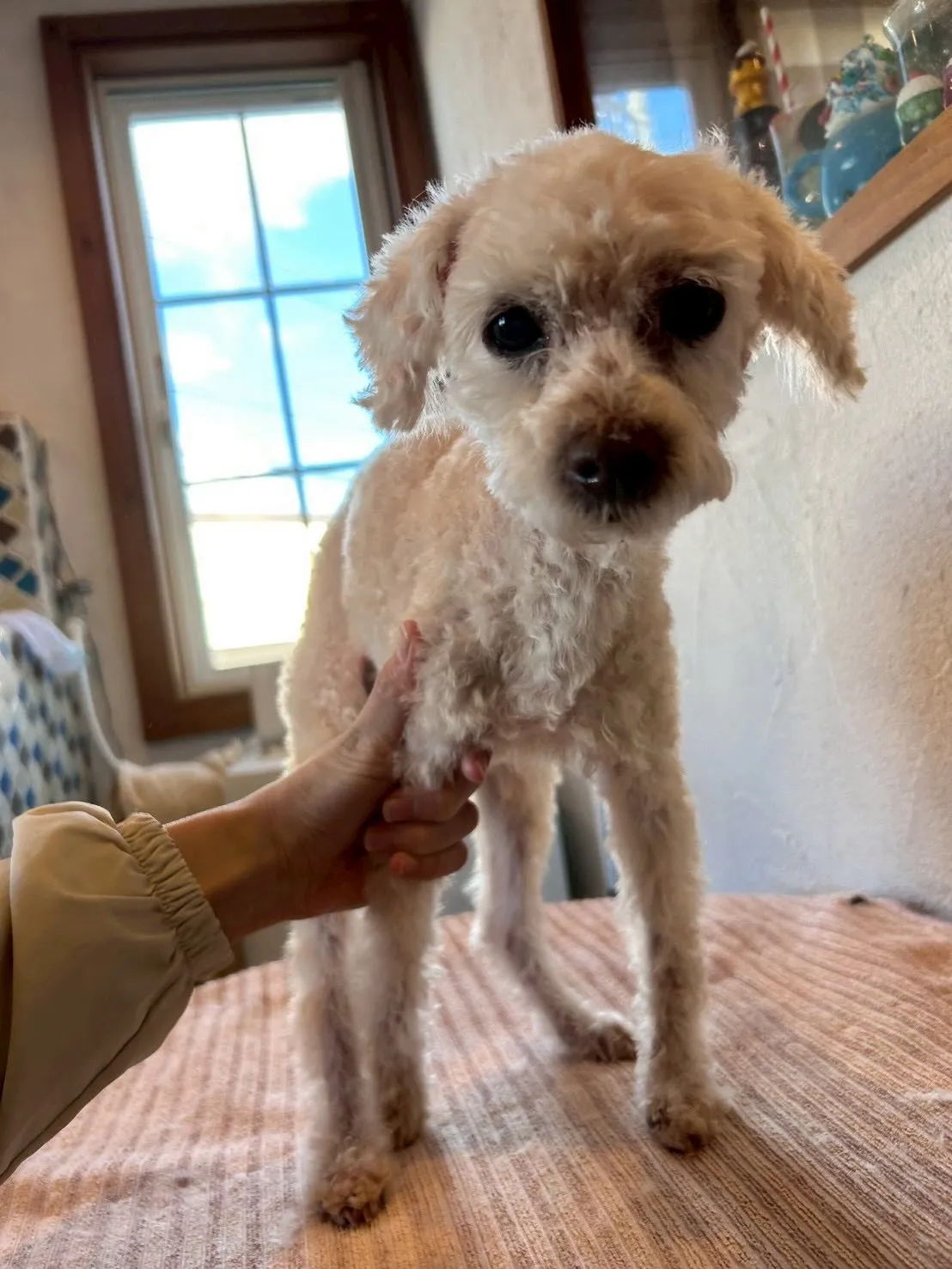 冬休み突入!❄️✨