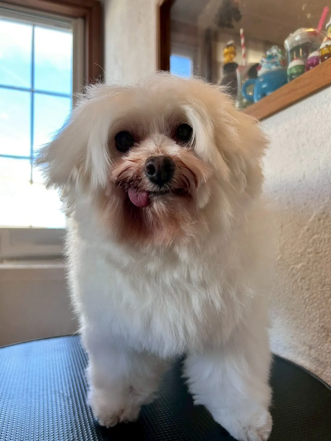 冬休み突入!❄️✨