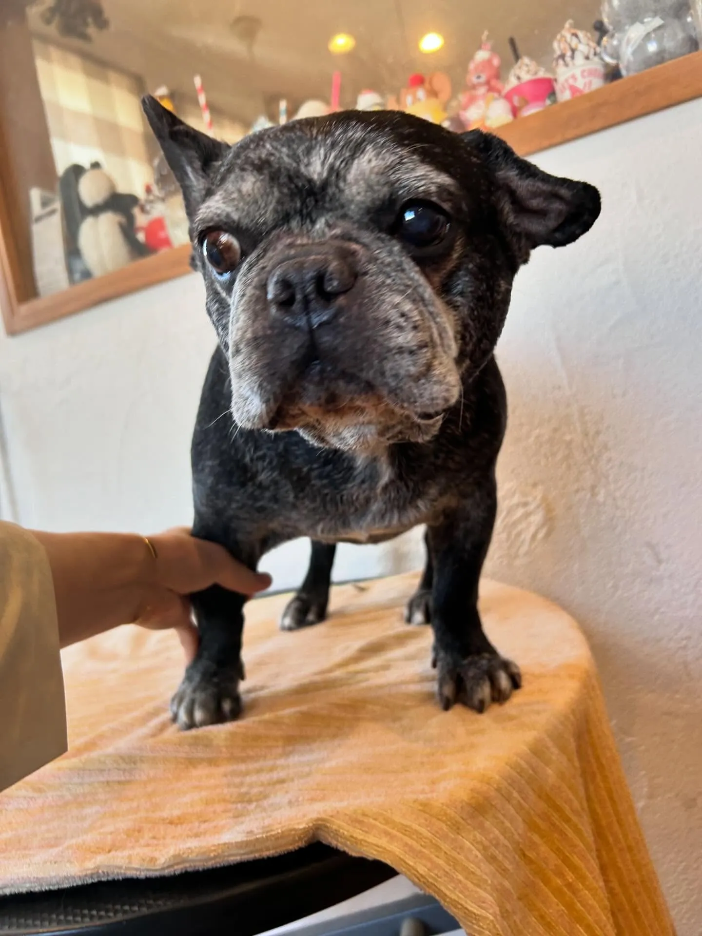 にぎやかな1日でした！✨