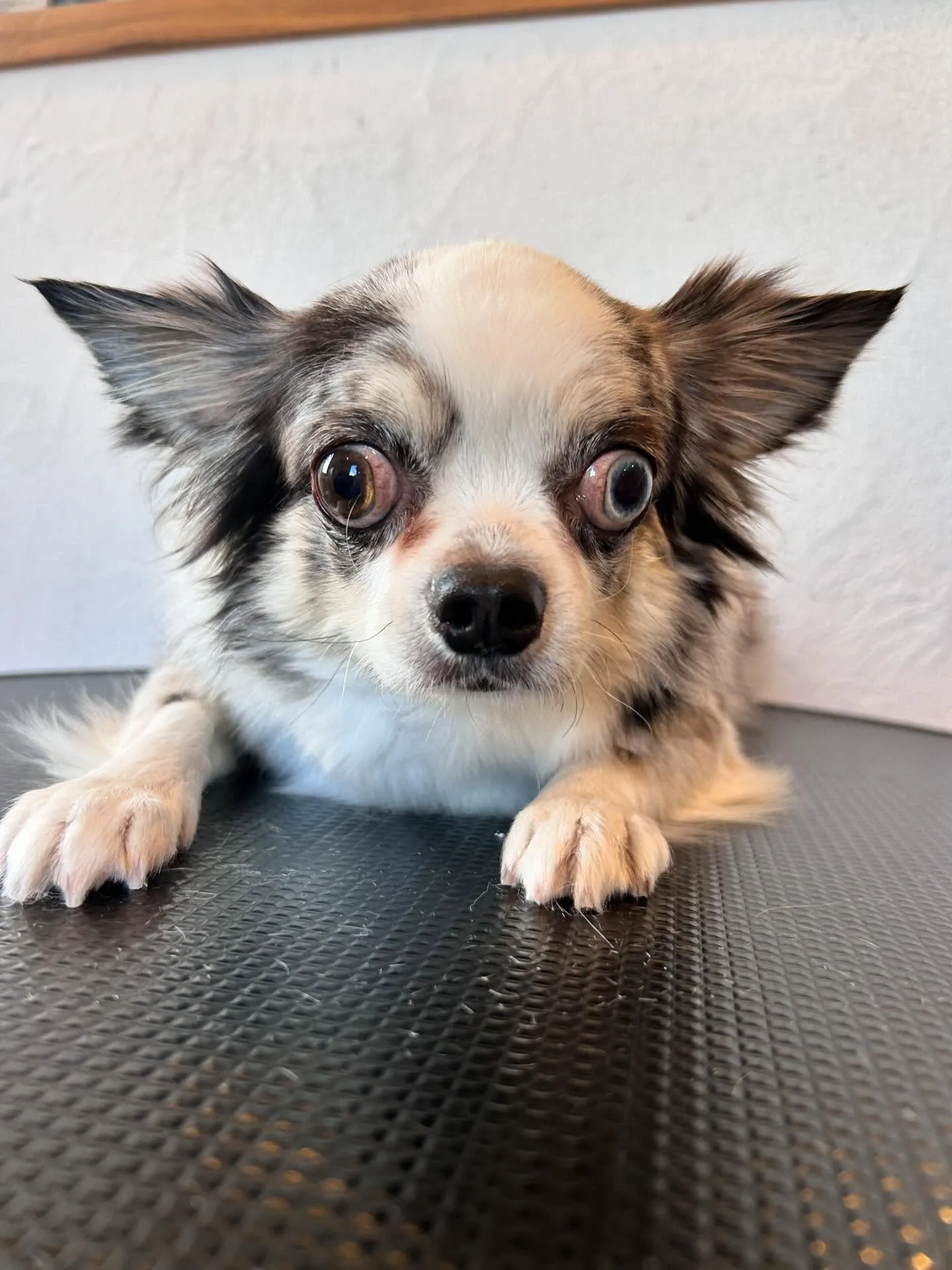 にぎやかな1日でした!✨