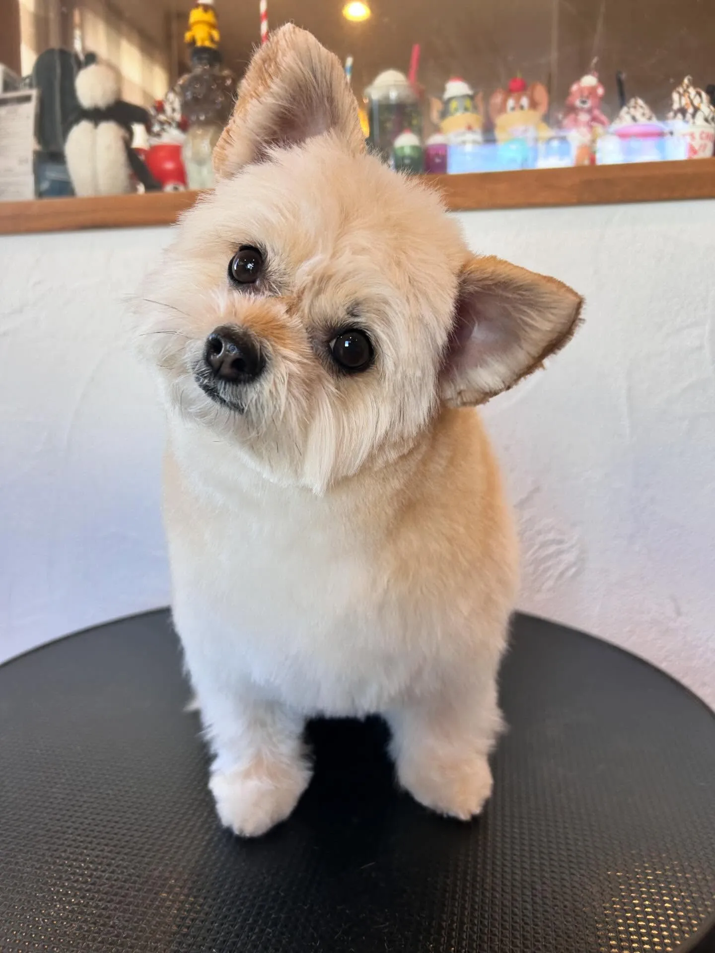 にぎやかな1日でした!✨