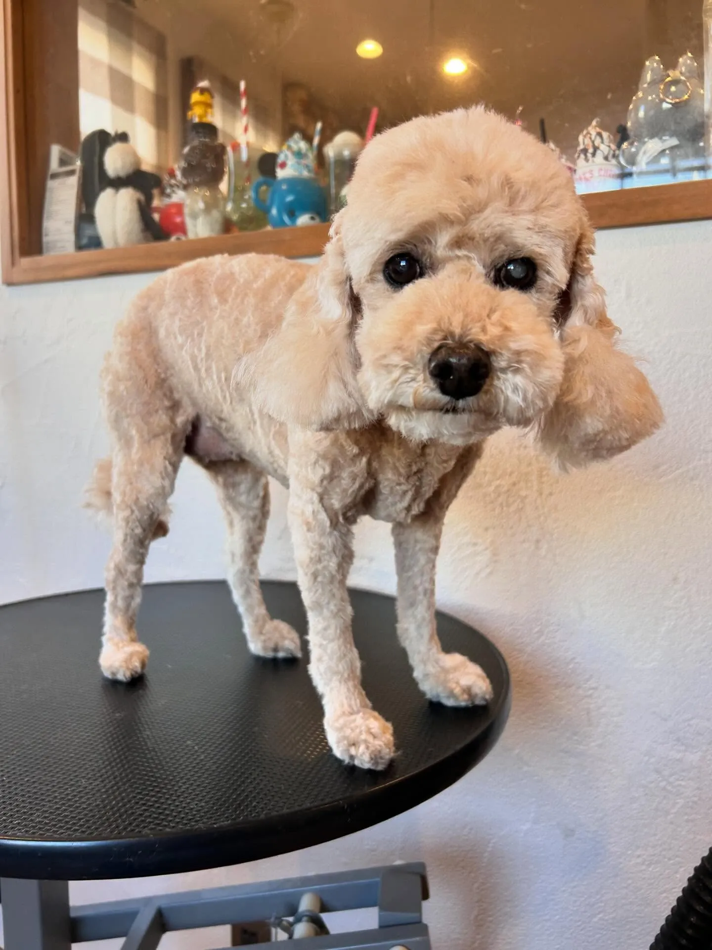 にぎやかな1日でした!✨