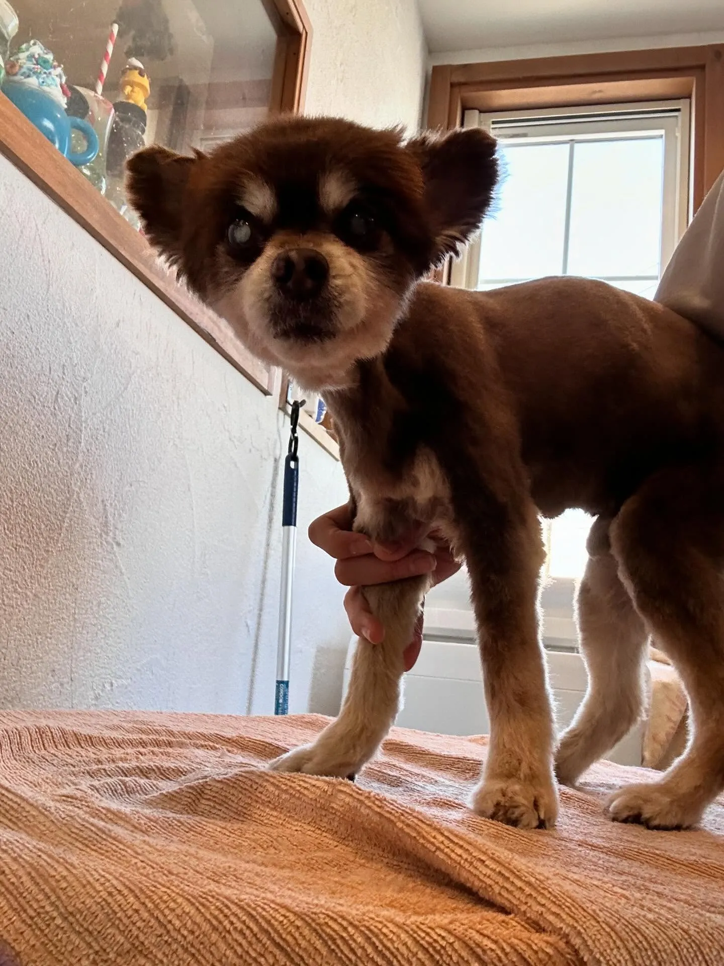 🌟新しい季節には、新しいスタイルで!🌟