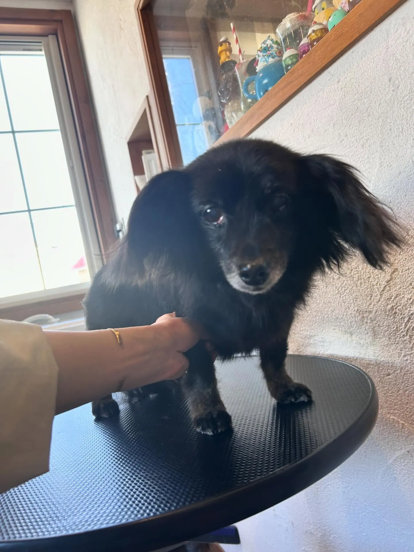 🌟新しい季節には、新しいスタイルで!🌟