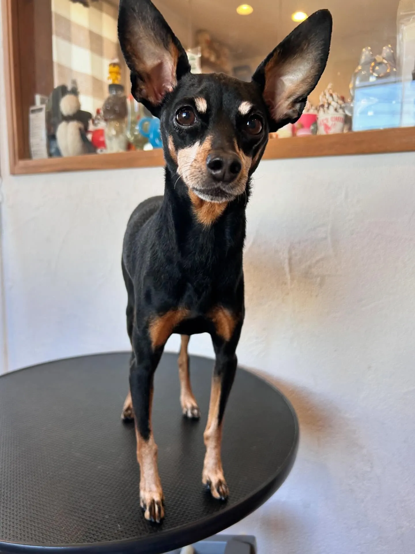 こんにちは、皆さん🌟