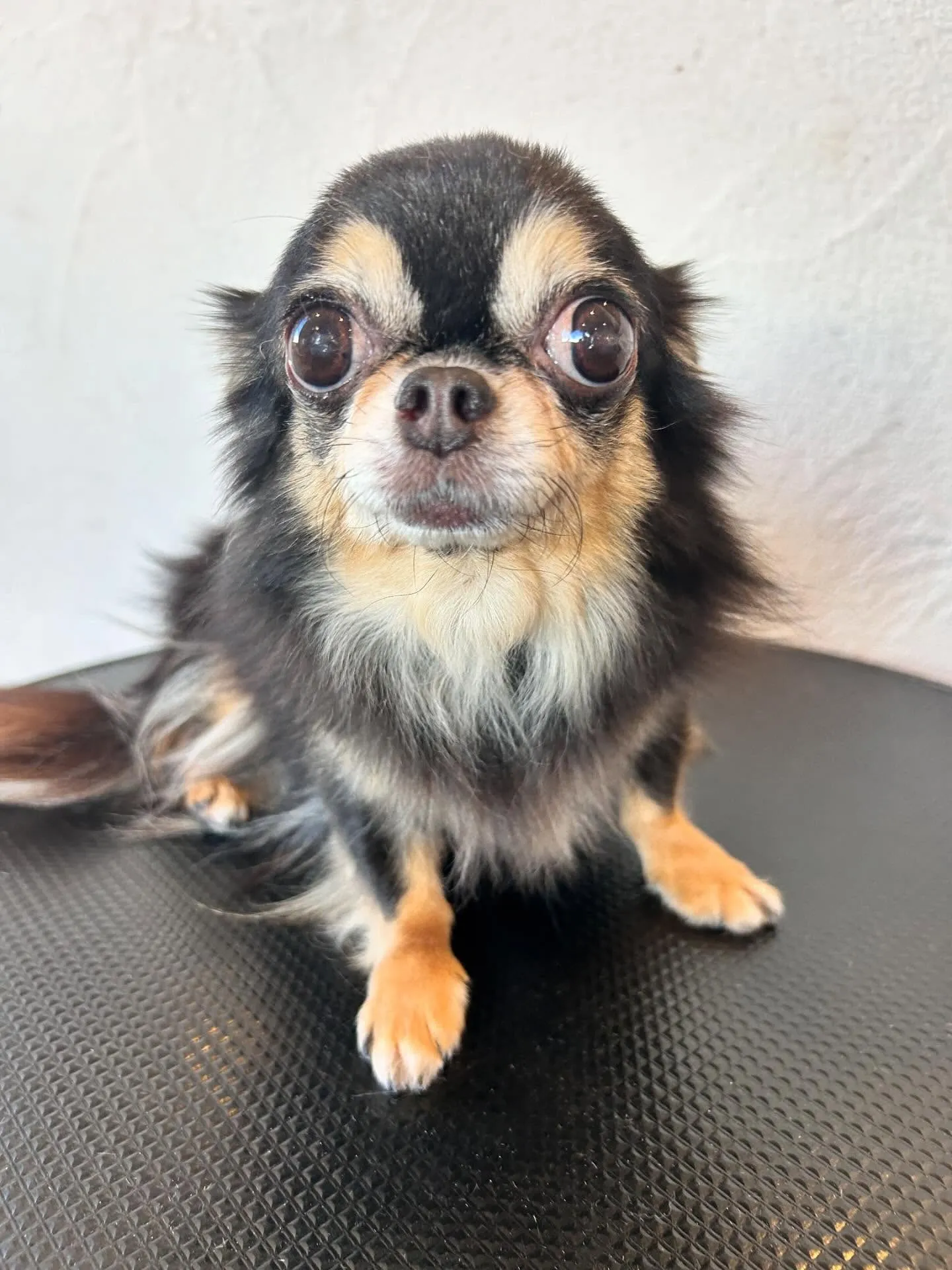 こんにちは、皆さん🌟