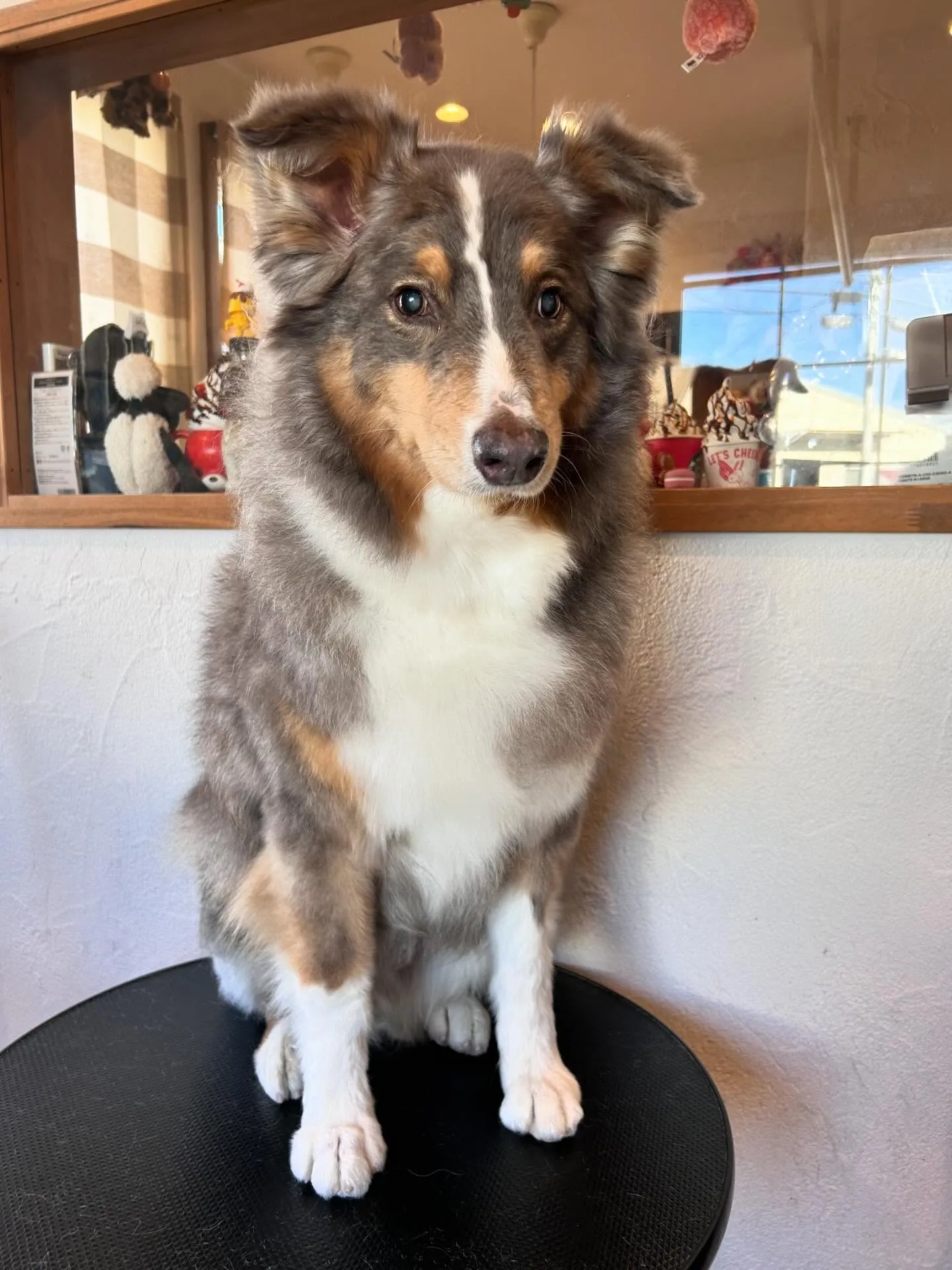 こんにちは、皆さん🌟