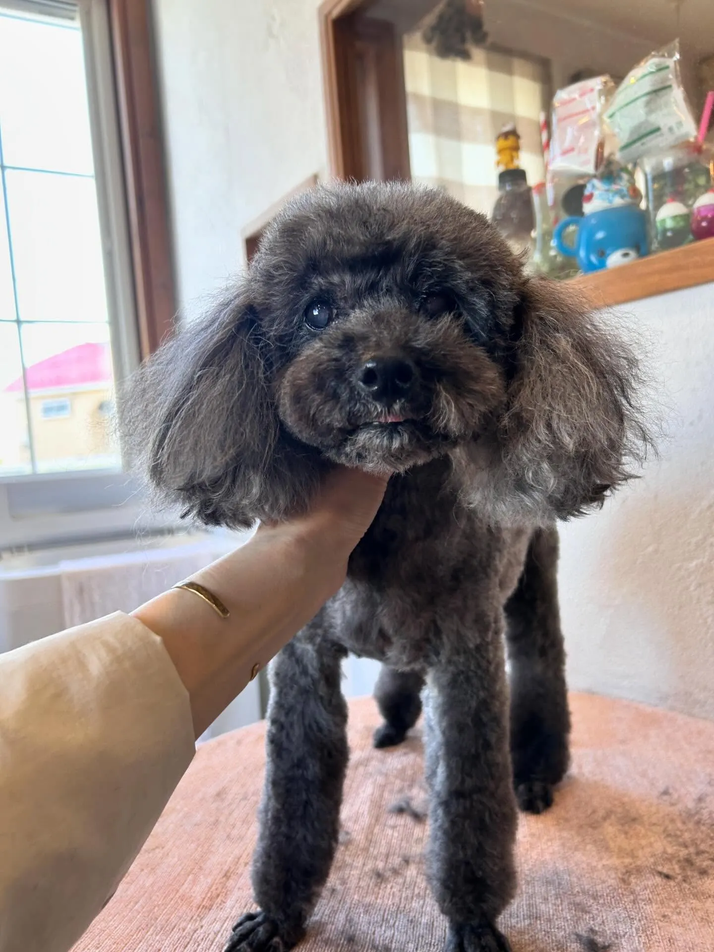 素敵なお友達がたくさん来てくれました！😊