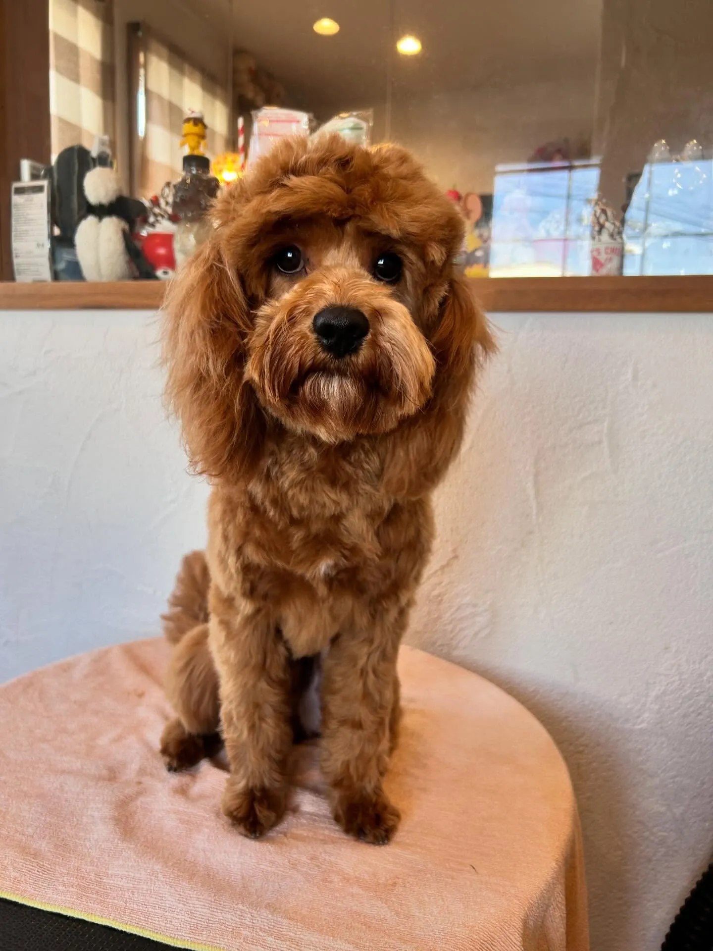 素敵なお友達がたくさん来てくれました！😊