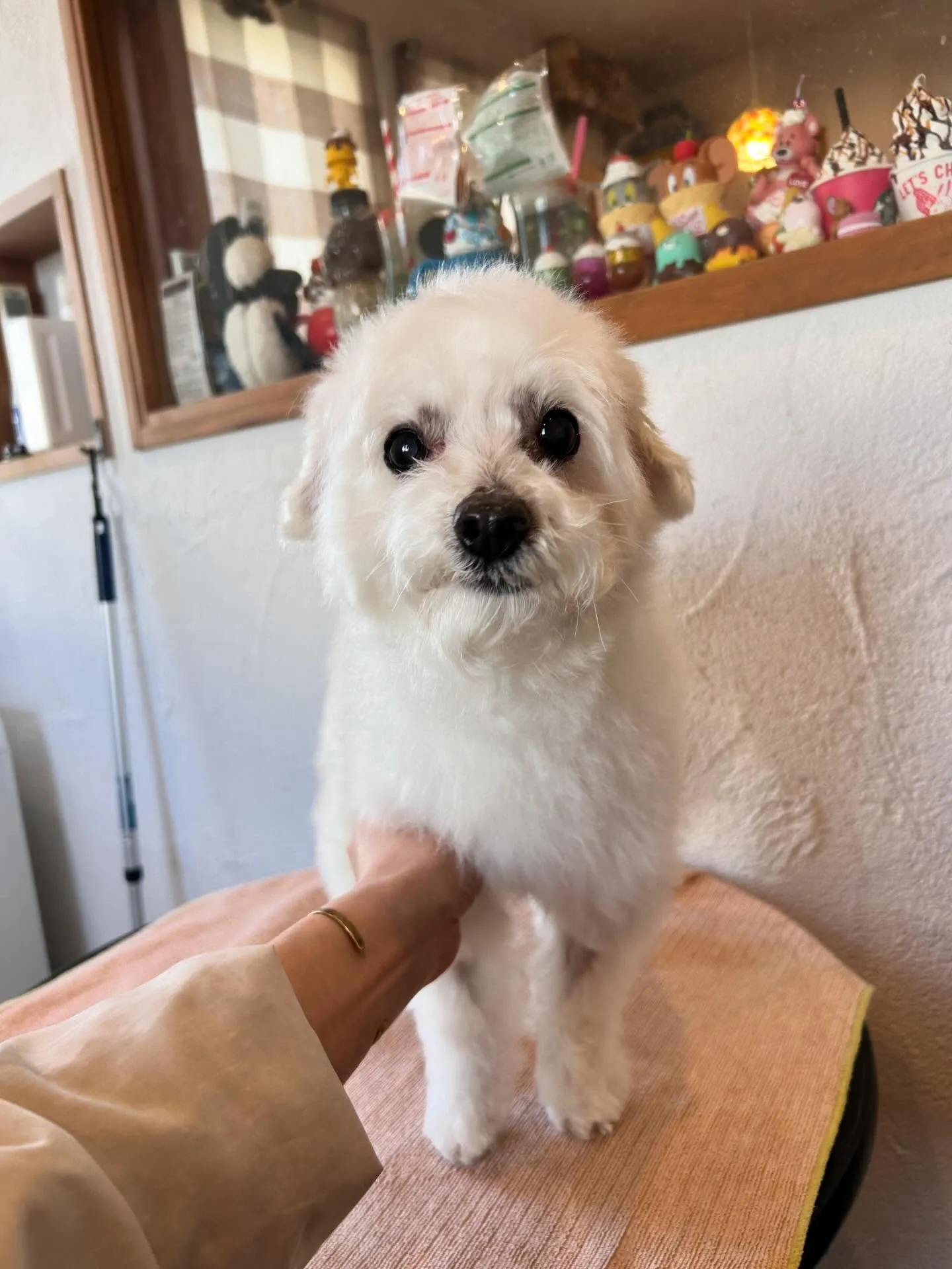 素敵なお友達がたくさん来てくれました！😊