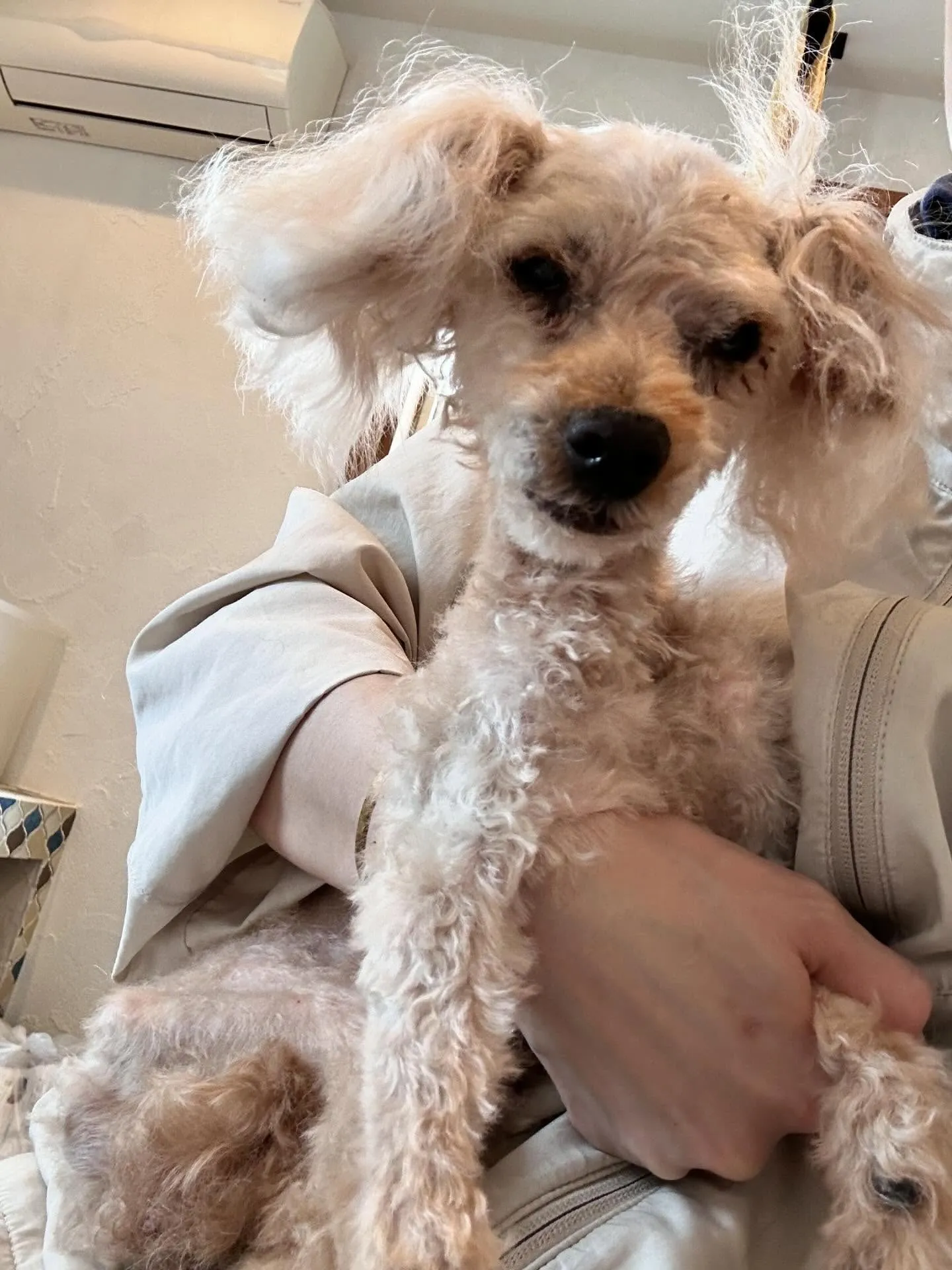 たくさんのお友達が遊びに来てくれました！