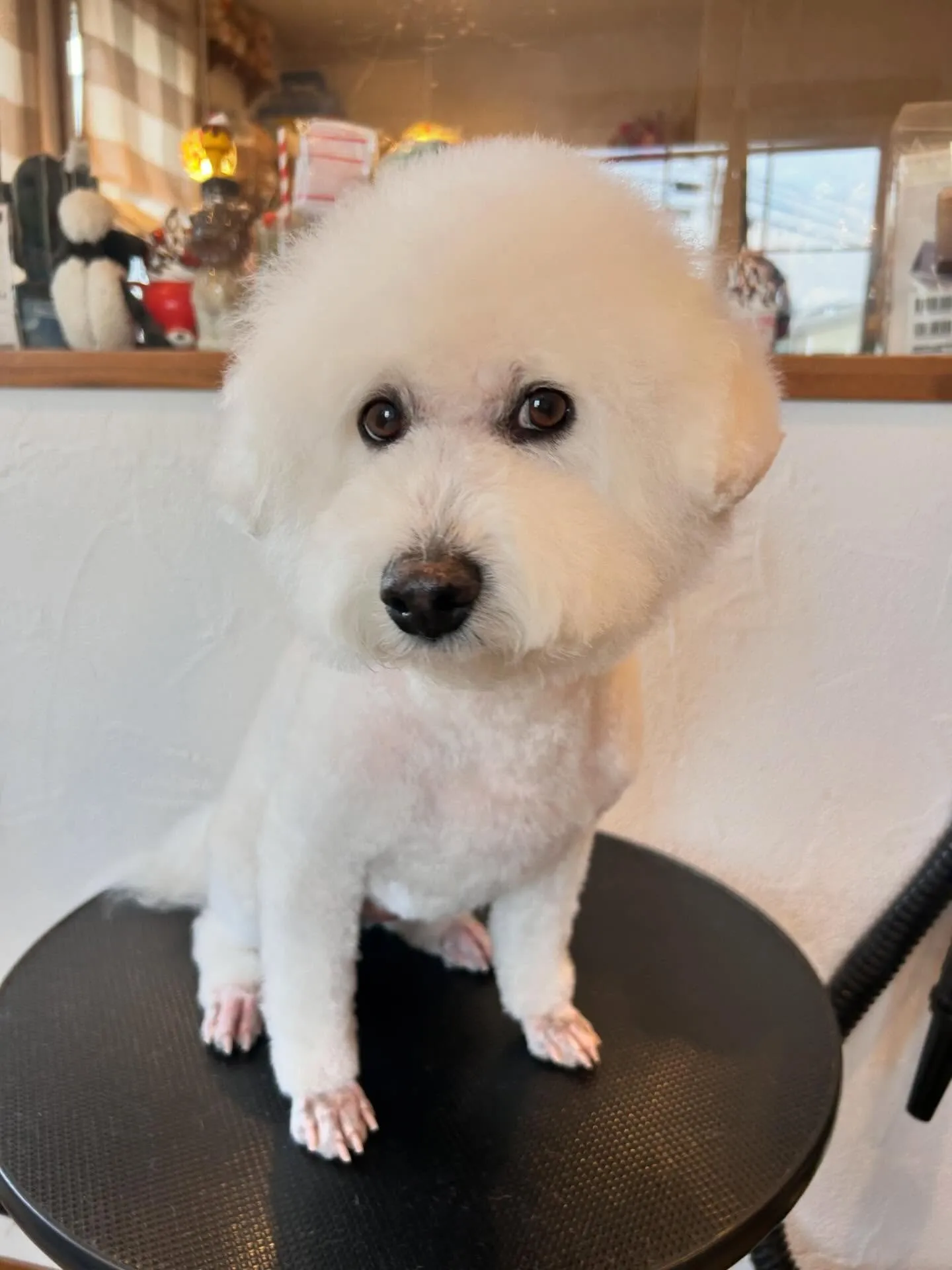 たくさんのお友達が遊びに来てくれました！