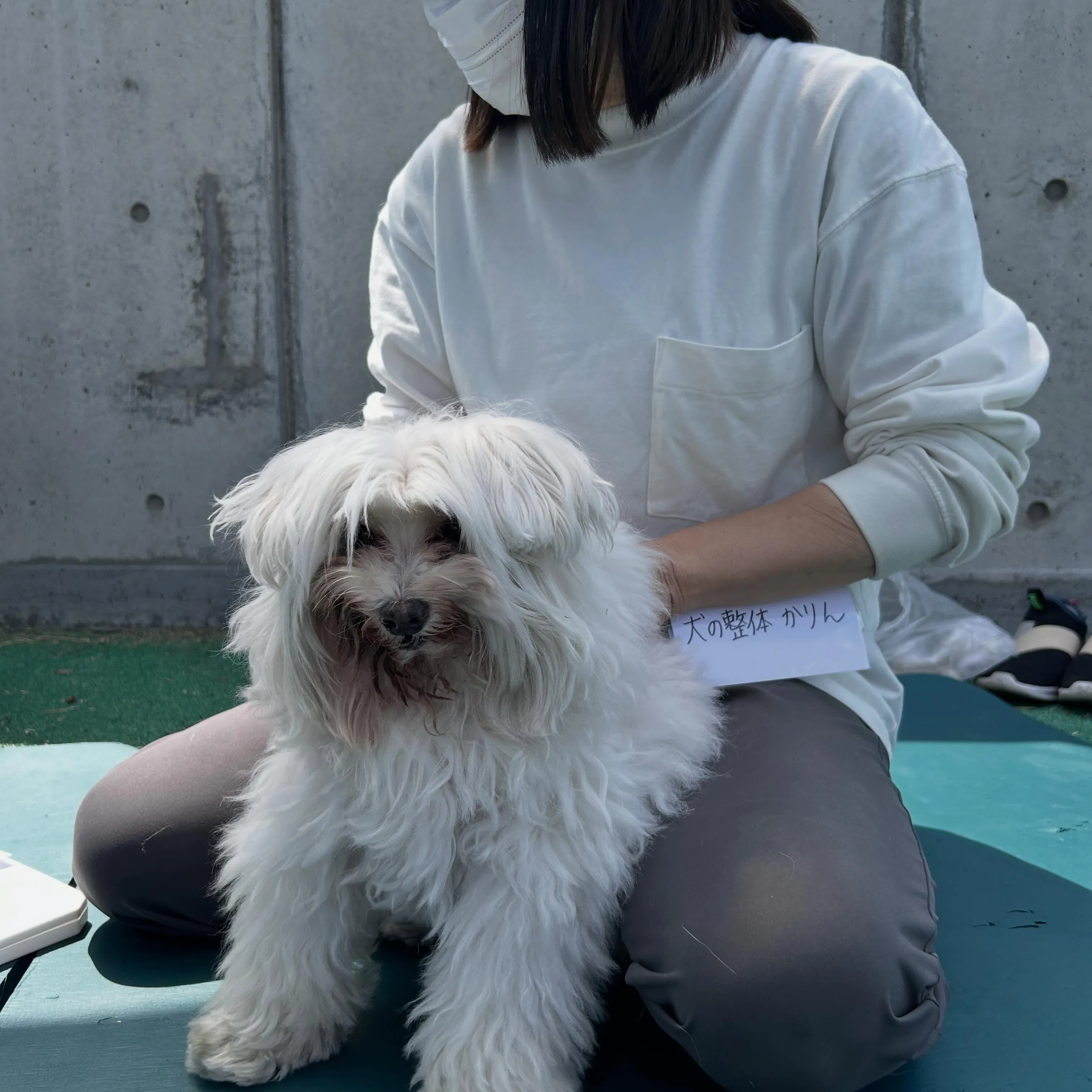 今日はとても特別な日になりました✨