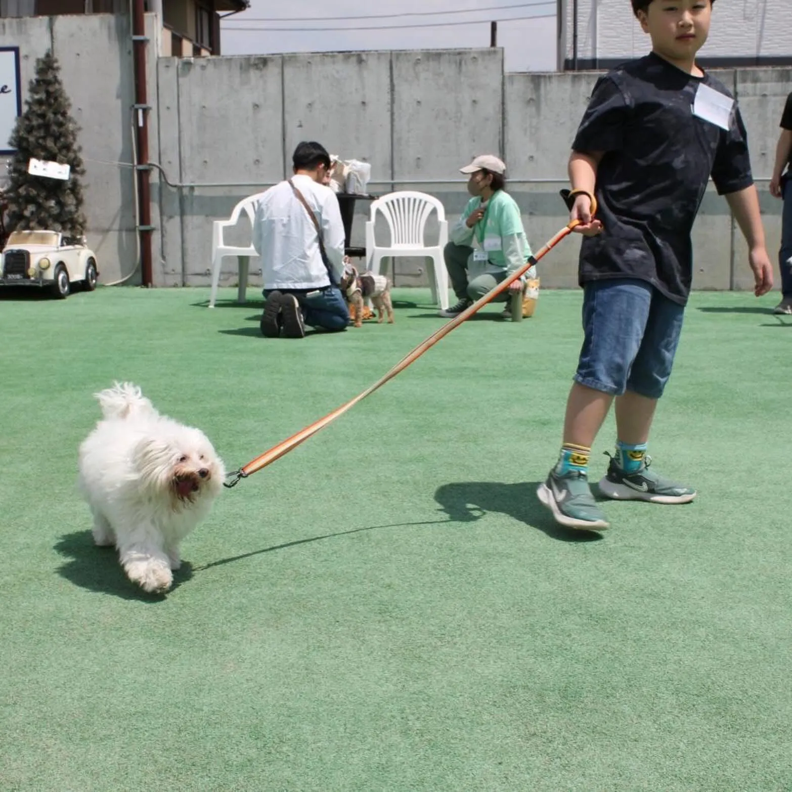 今日はとても特別な日になりました✨