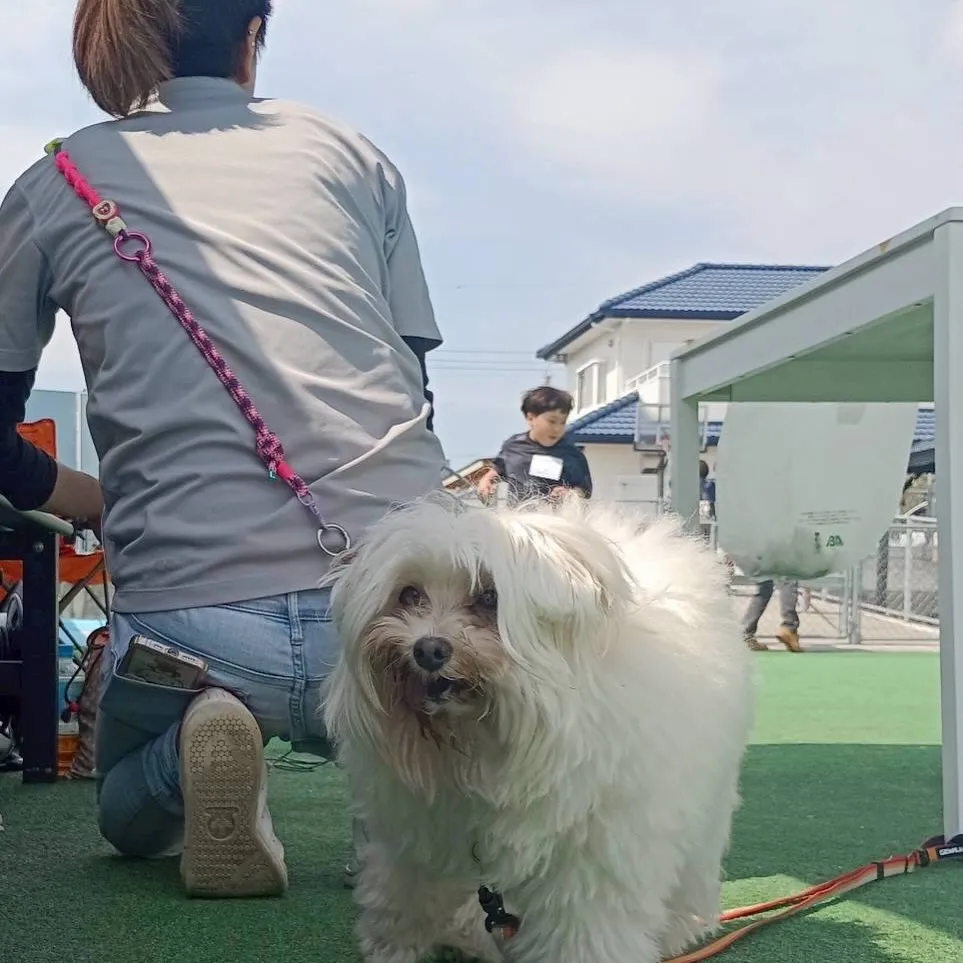 今日はとても特別な日になりました✨
