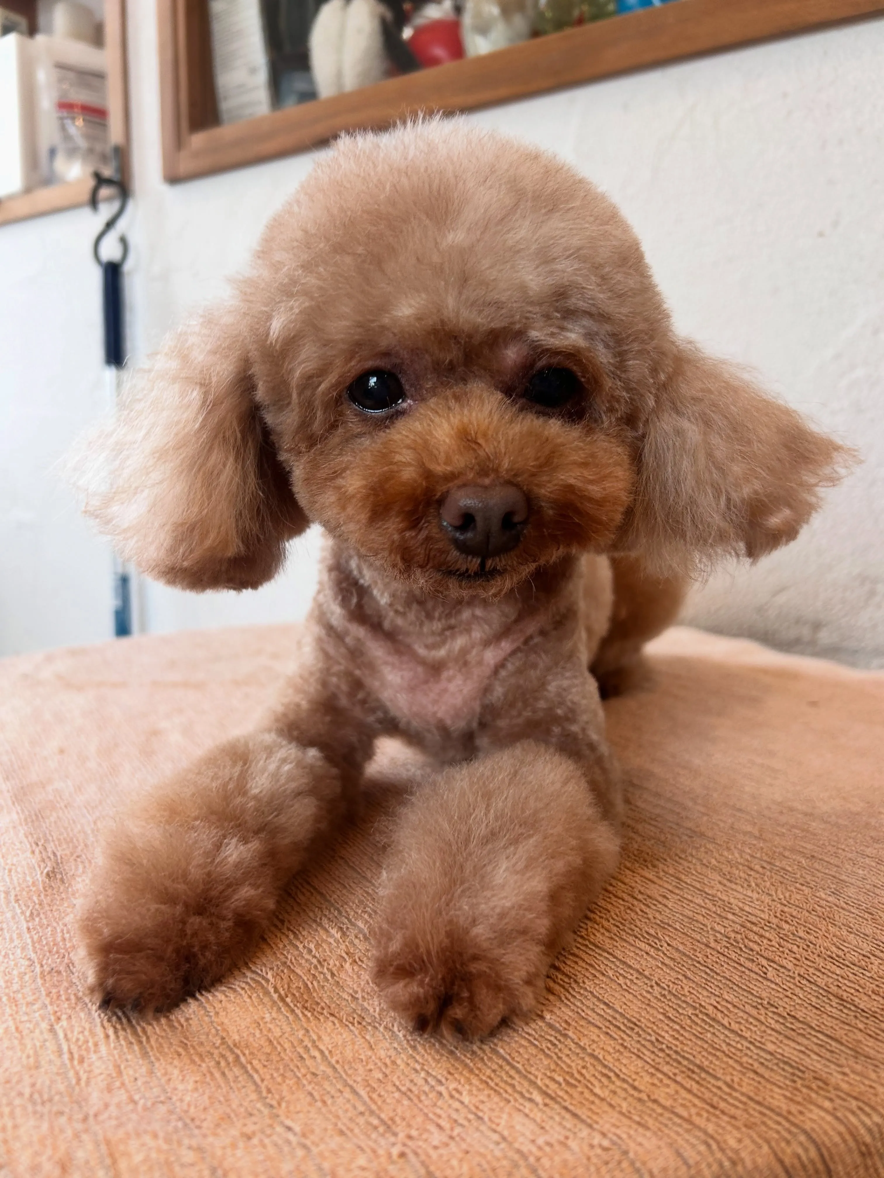 みんな可愛さ全開🐾✨
