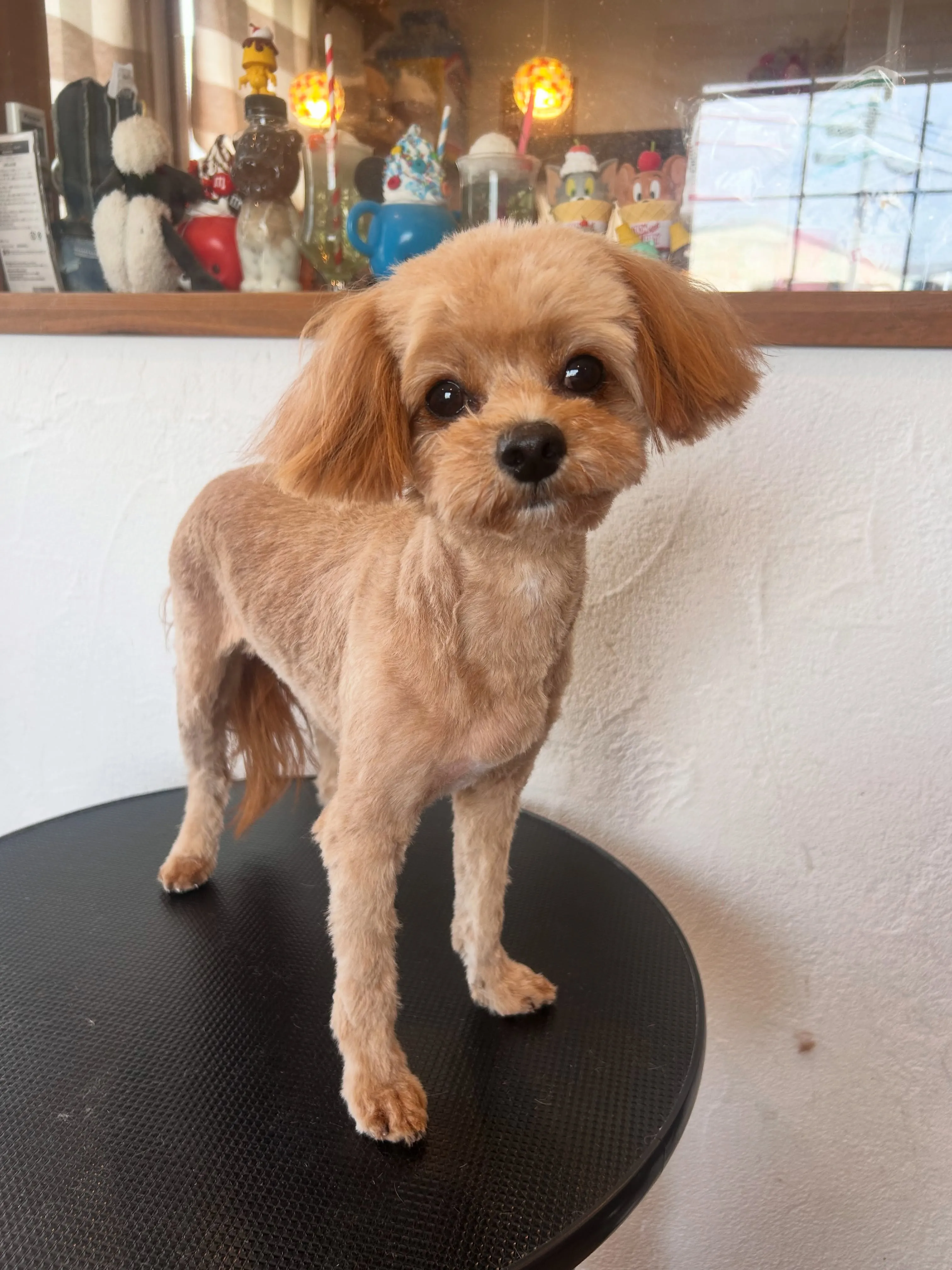 可愛すぎるビフォーアフター✨