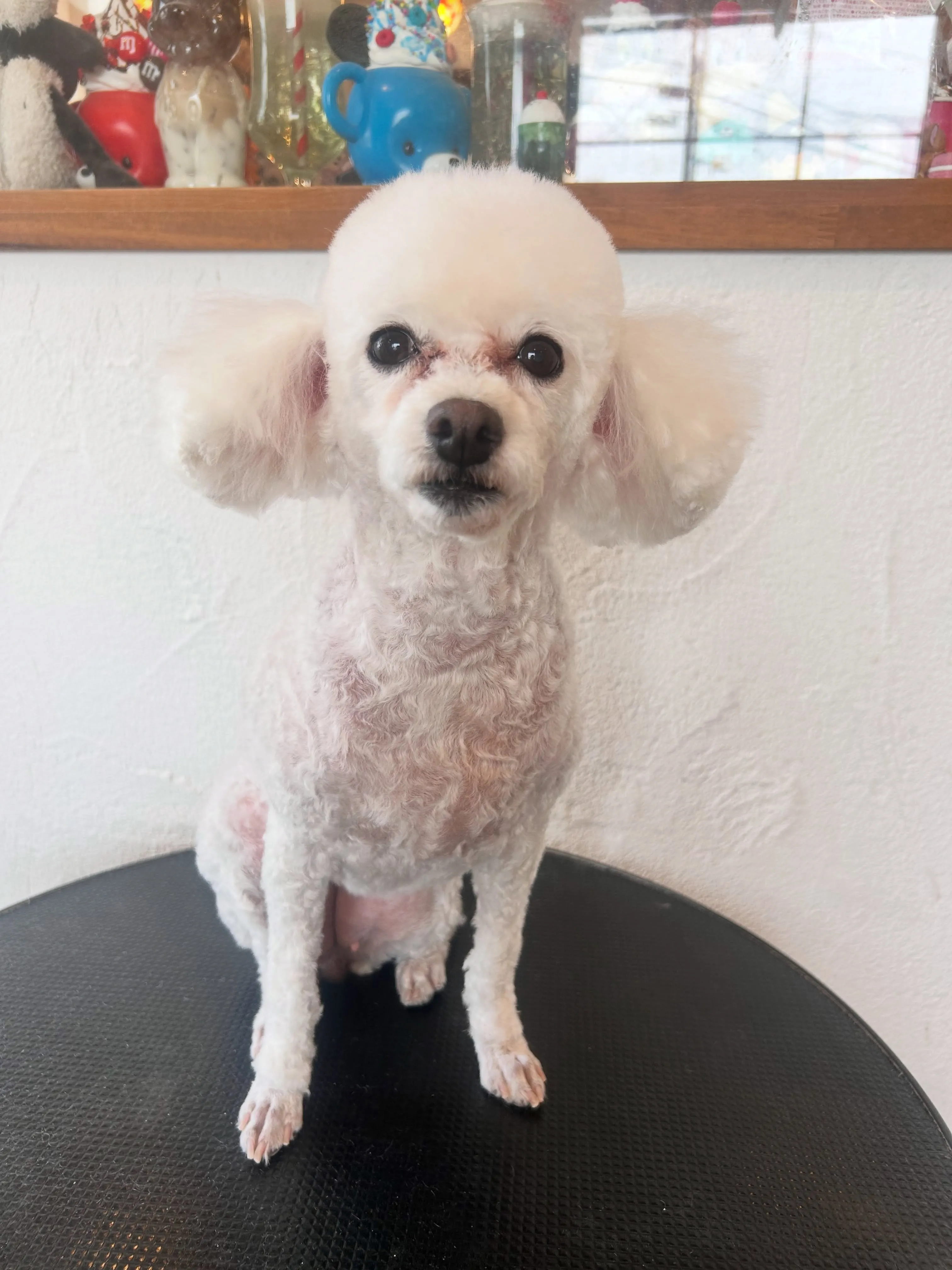 可愛すぎるビフォーアフター✨