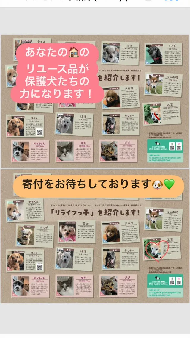 【イバショ・マルシェ開催のお知らせ】